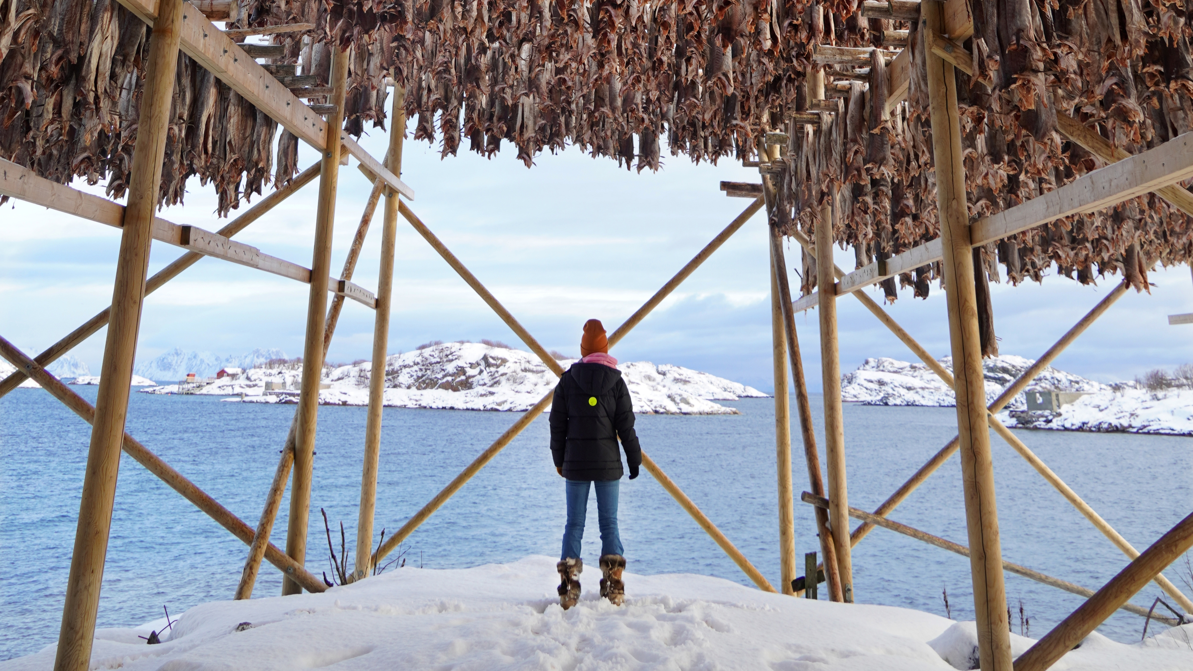 Girl standing under stockfish in Lofoten.