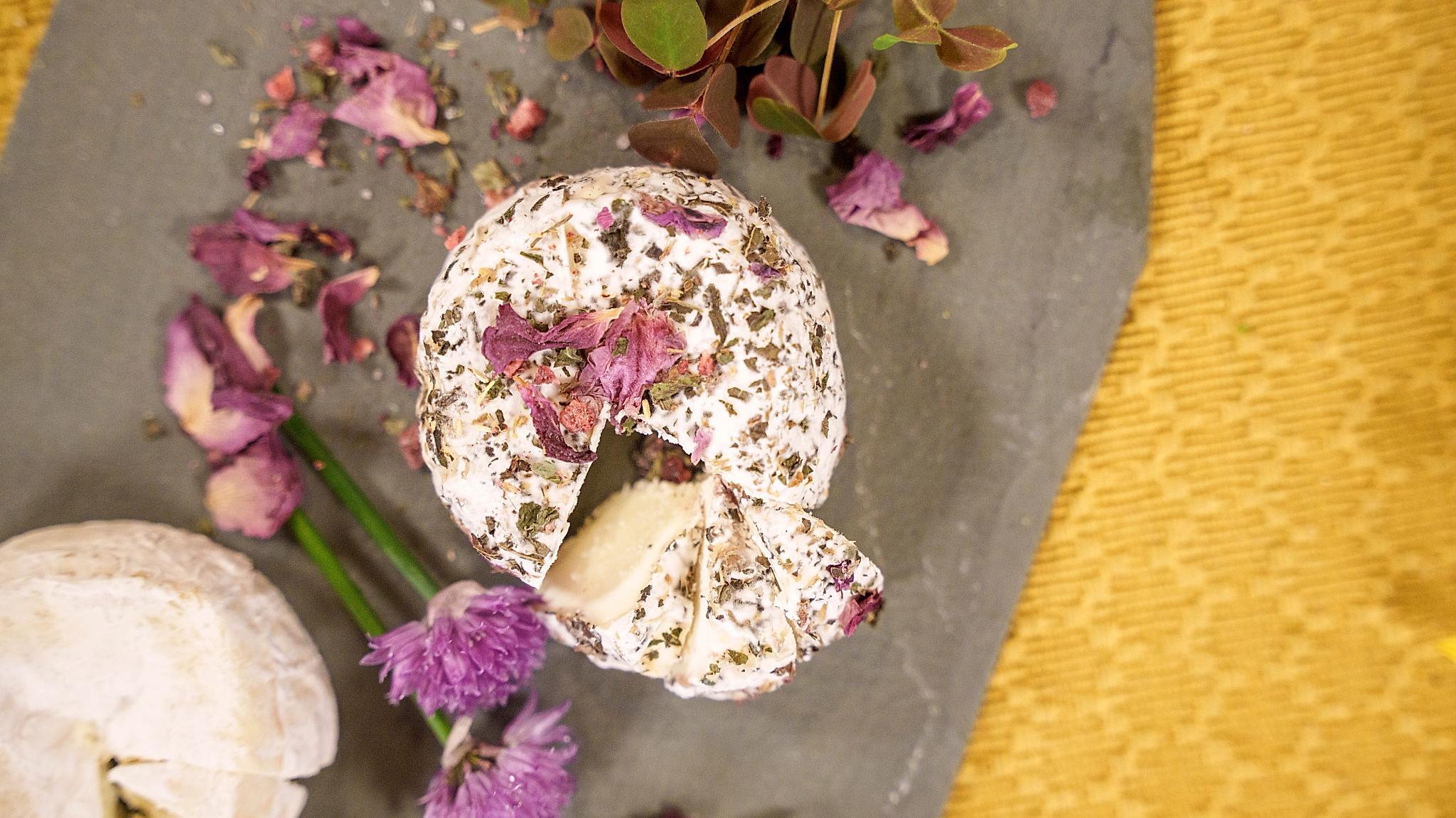 Goat cheese from Nørrestogo farm in Valdres