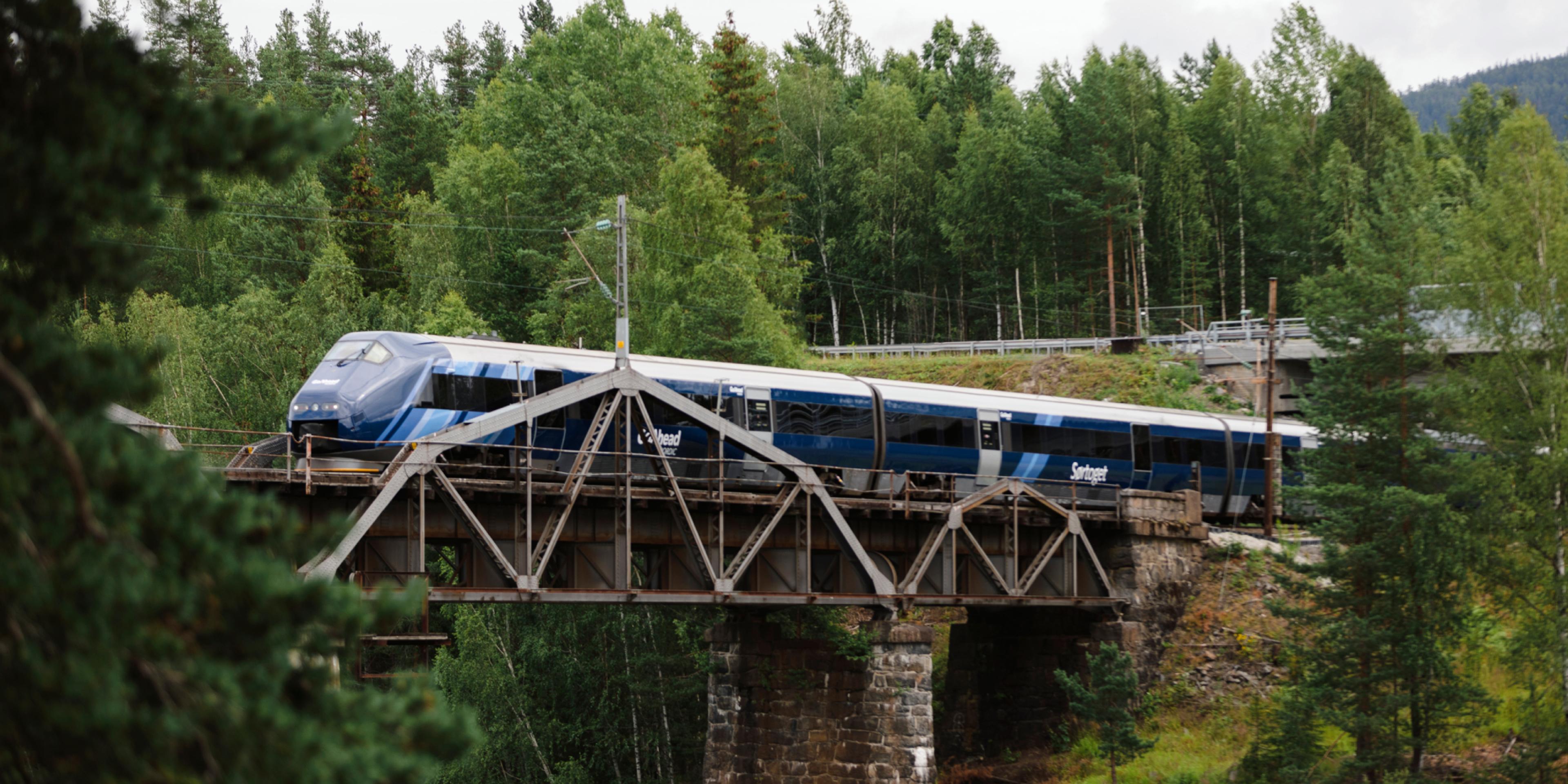 The Sørland Line driver over a bridge in the forest, Norway