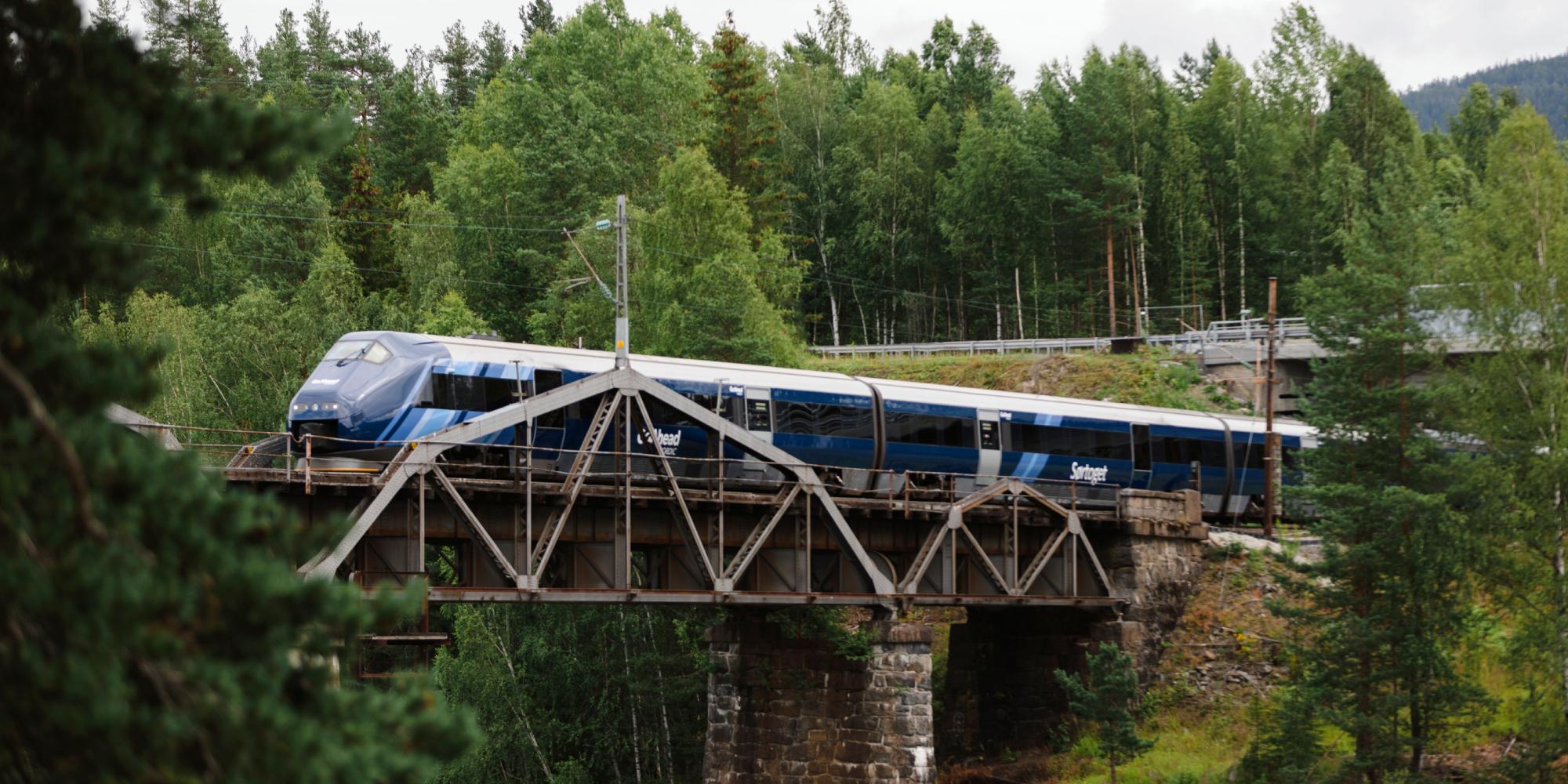 The Sørland Line driver over a bridge in the forest, Norway