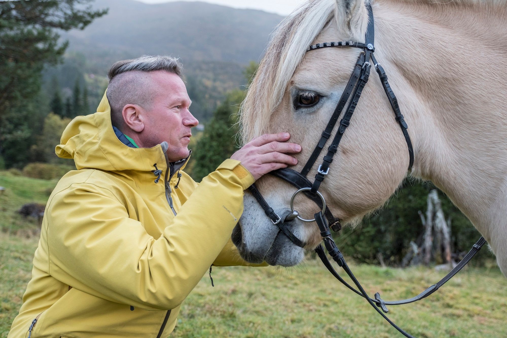 A man petting a fjord horse in Norway