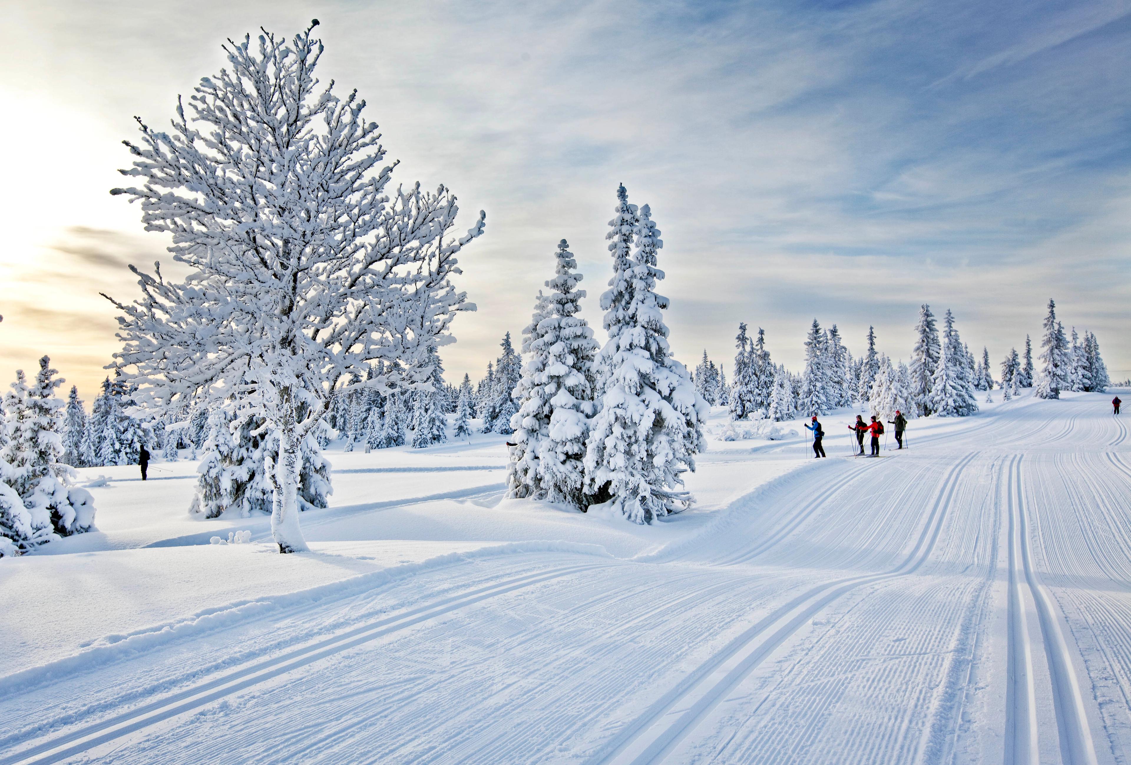 Cross-country skiing at Sjusjøen outside Lillehammer in Eastern Norway