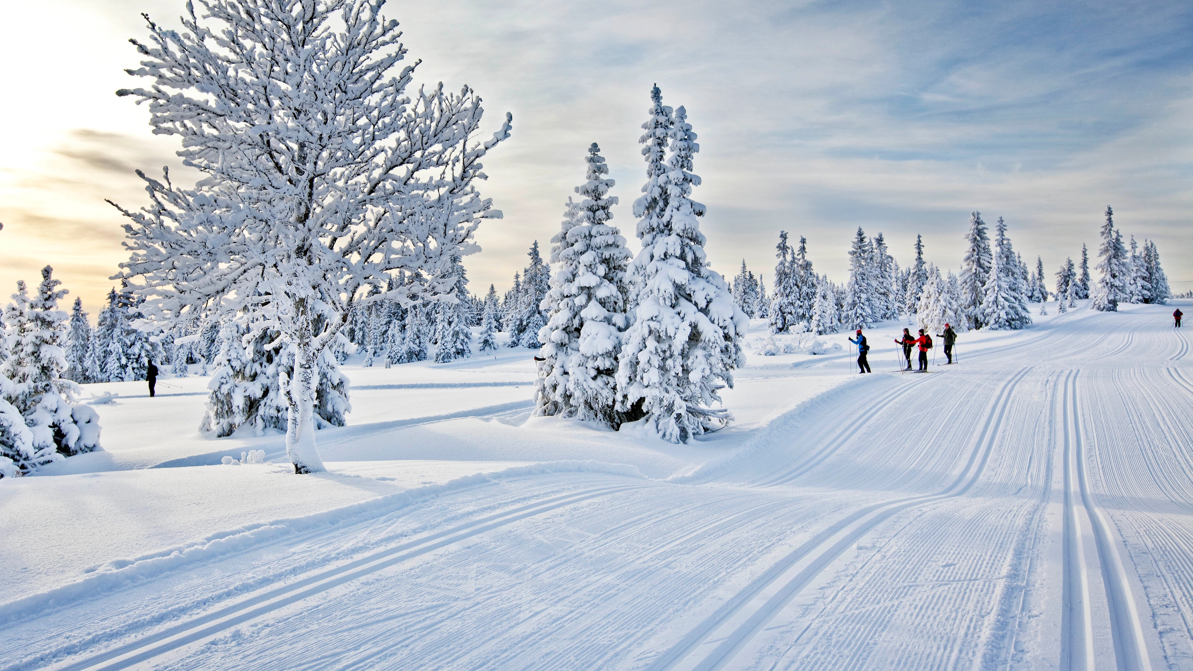 Cross-country skiing at Sjusjøen outside Lillehammer in Eastern Norway