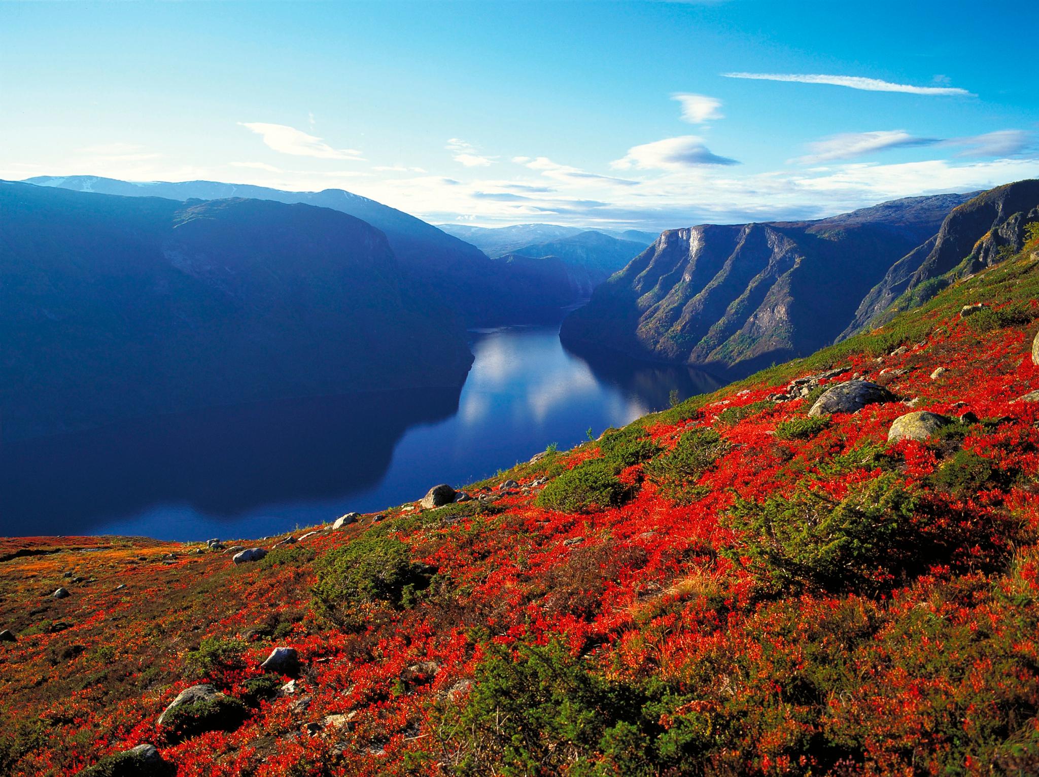 Sognefjord Adventure by Authentic Scandinavia