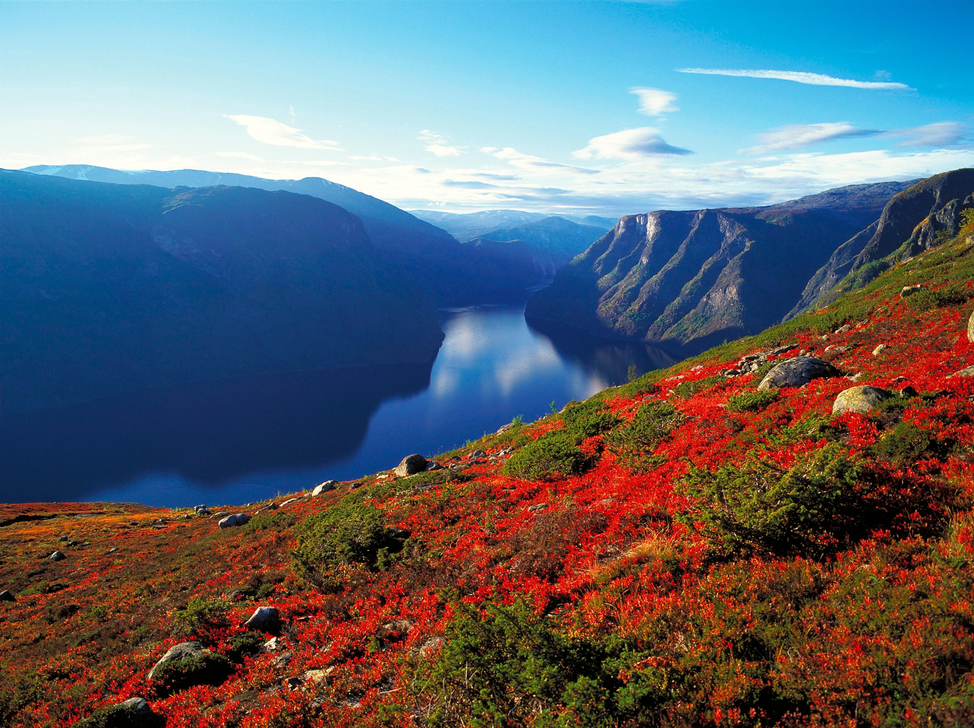 Sognefjord Adventure by Authentic Scandinavia