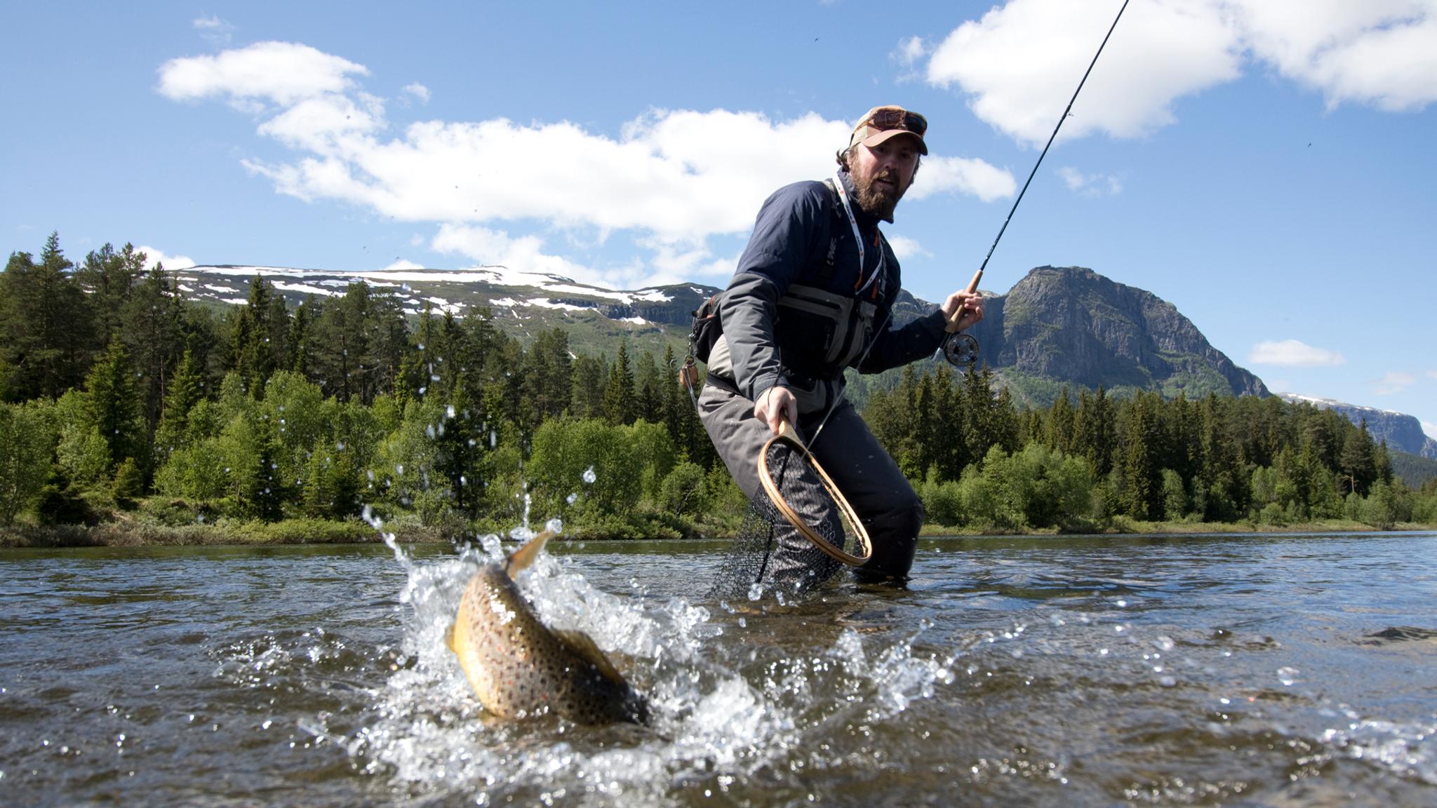 A man catching a fish in a river in Hemsedal, Eastern Norway