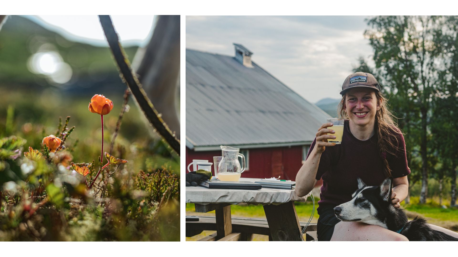 Cloud berries and lemonade