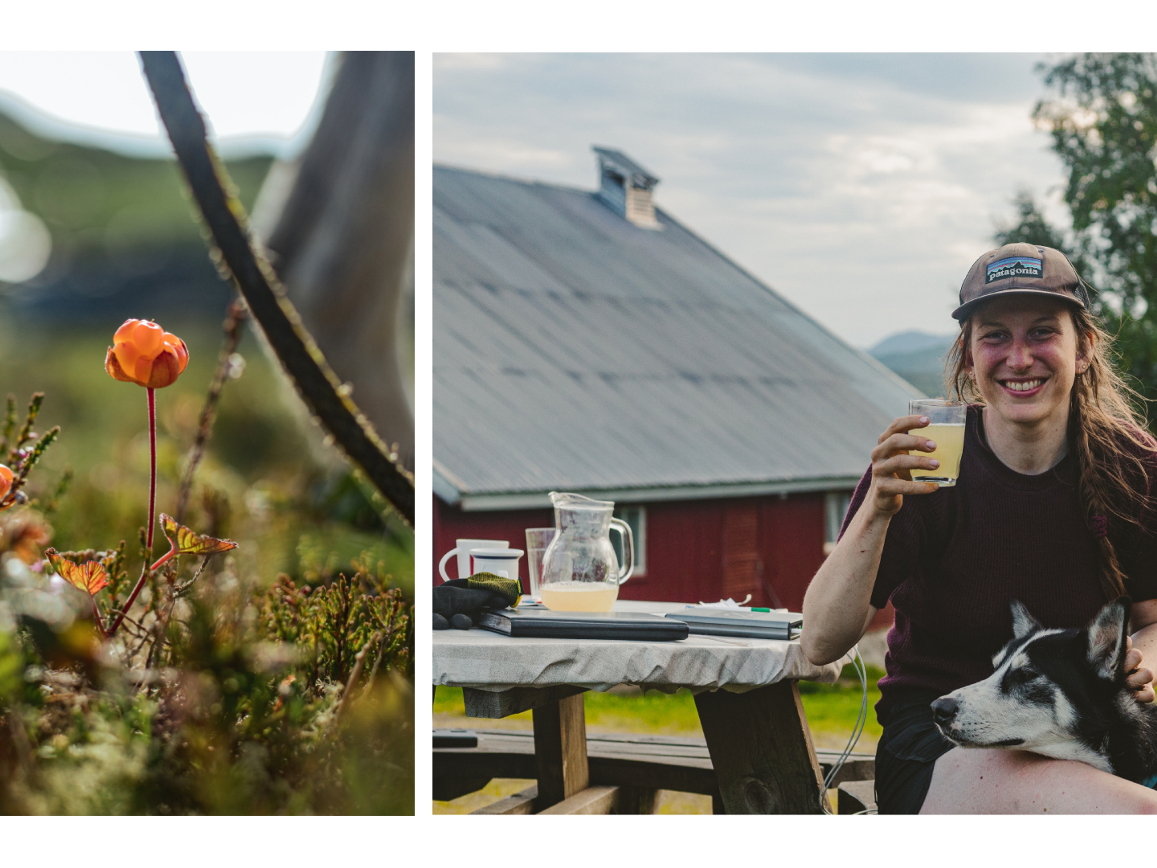 Cloud berries and lemonade