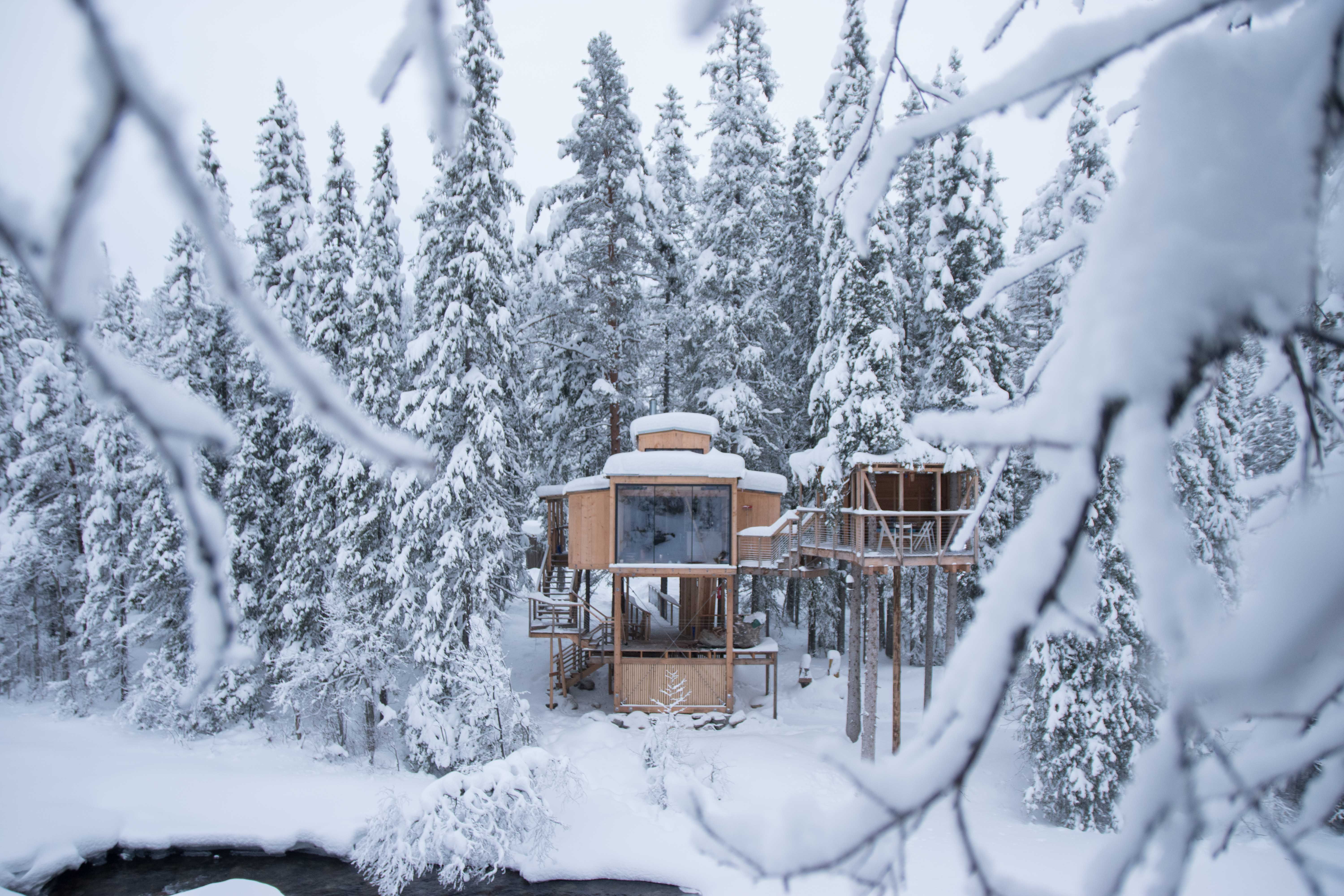 Snow covering Å Auge treetop cabin in Tinn, Telemark