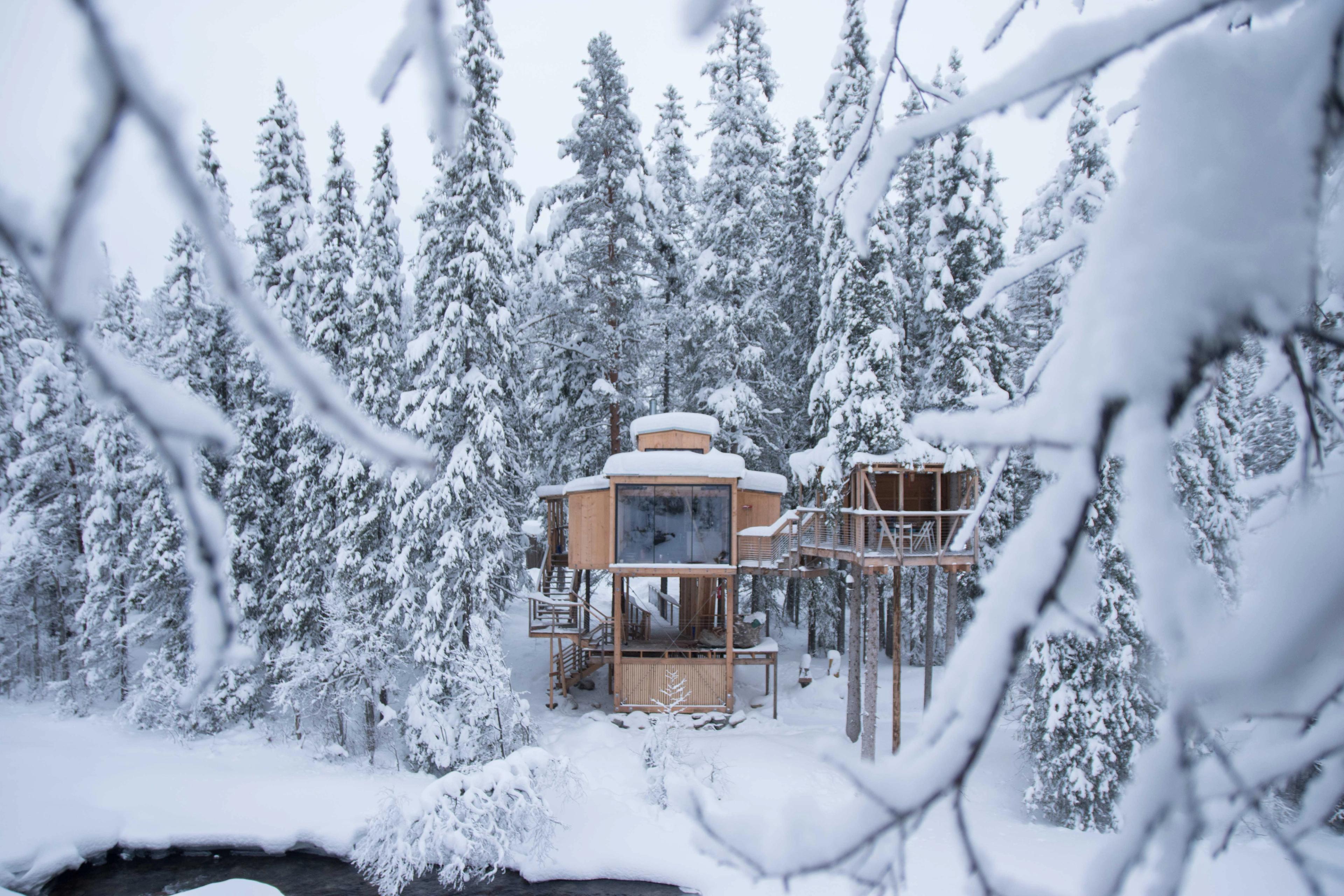 Snow covering Å Auge treetop cabin in Tinn, Telemark