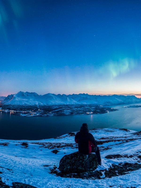 Aurora borealis over Lyngenfjord, Northern Norway