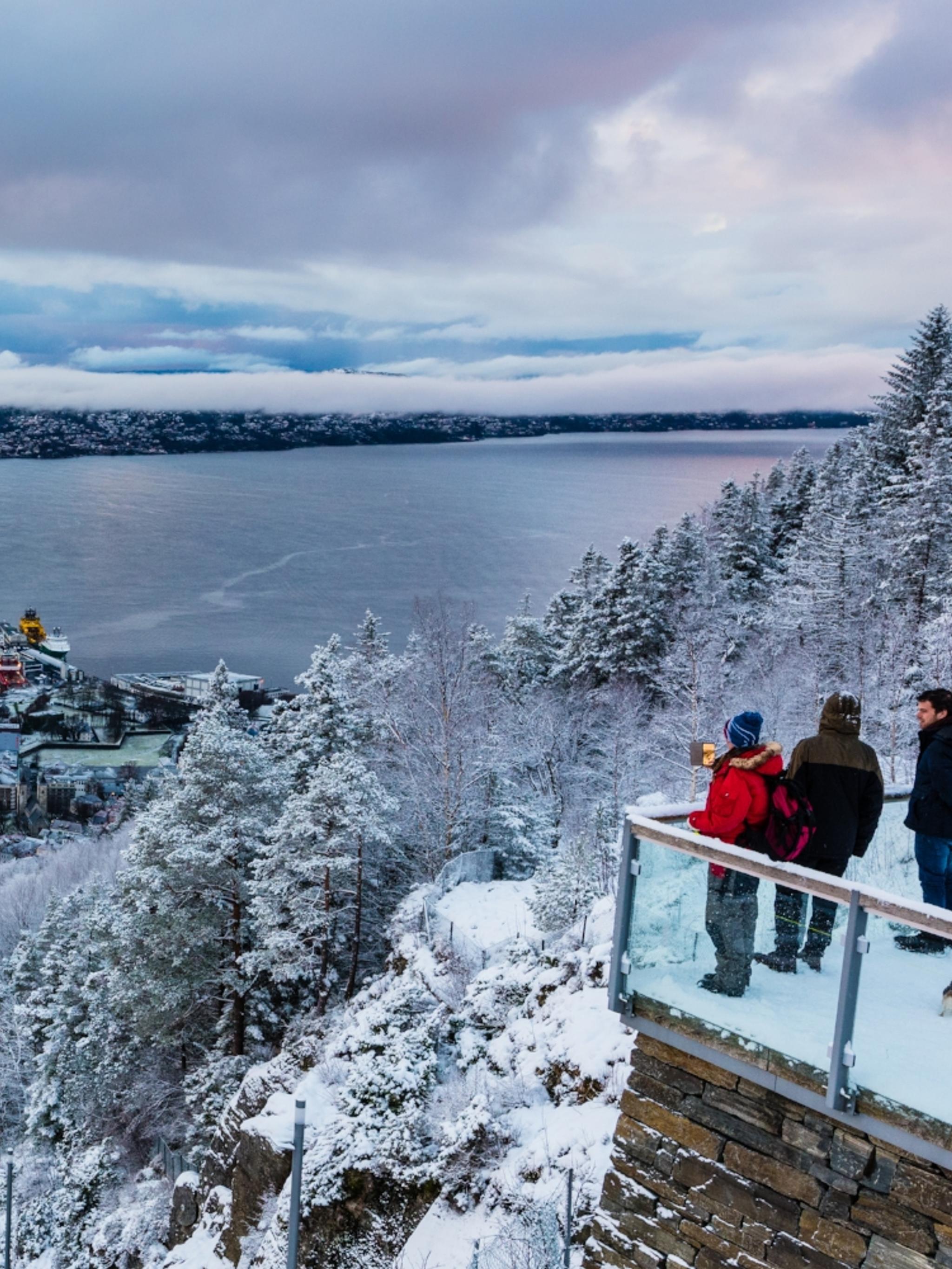 View from Mount Fløyen in Bergen, Fjord Norway, in winter