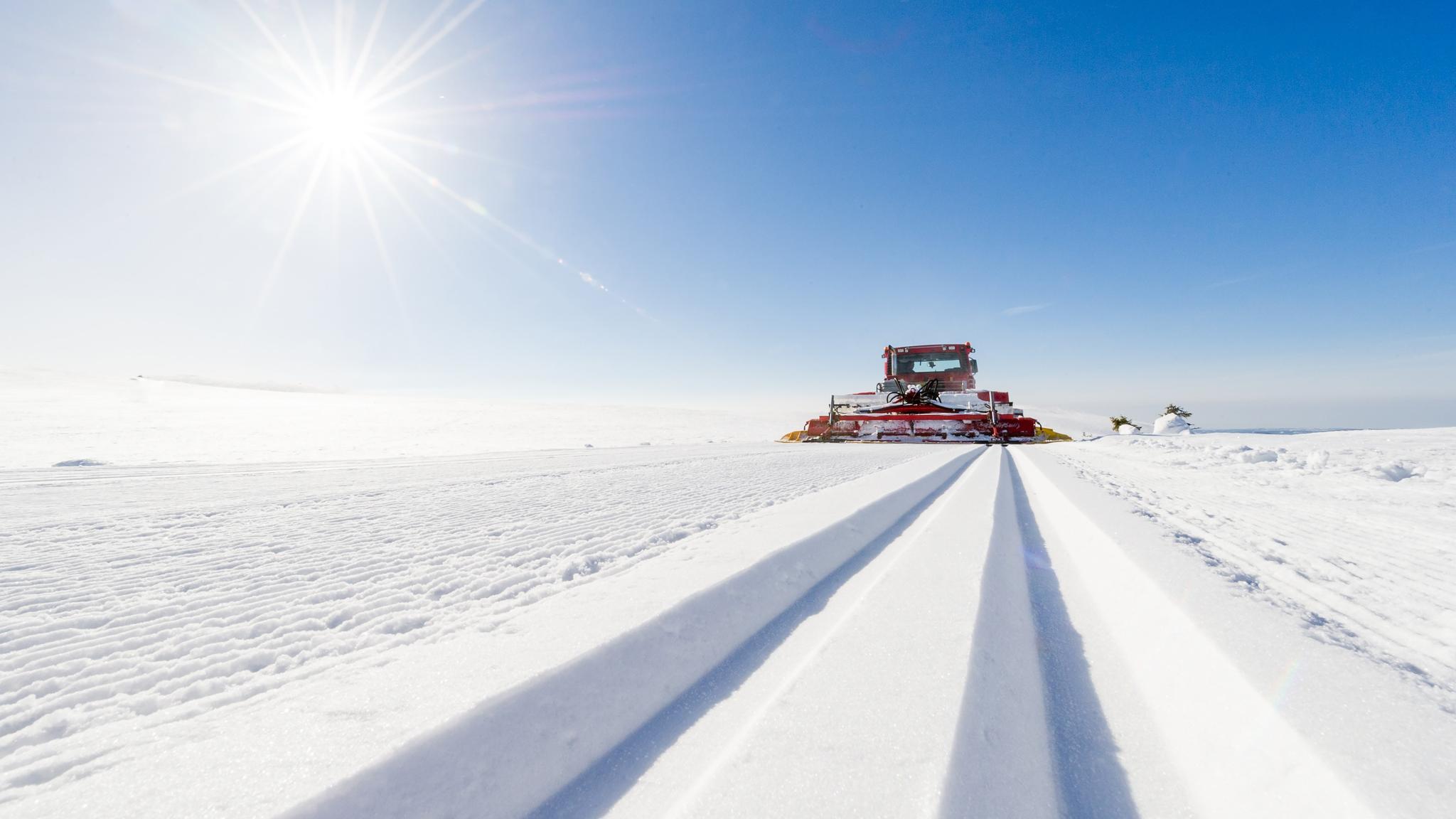 Freshly groomed cross-country tracks on a sunny winter day in Trysil, Eastern Norway