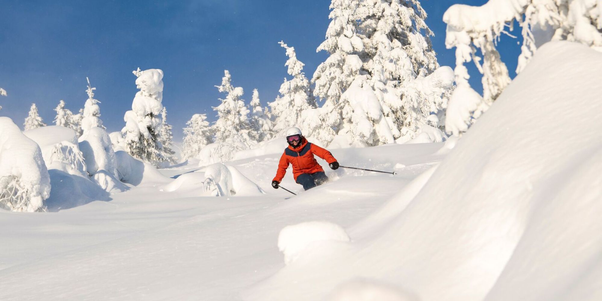 Skiing in powder snow in Trysil