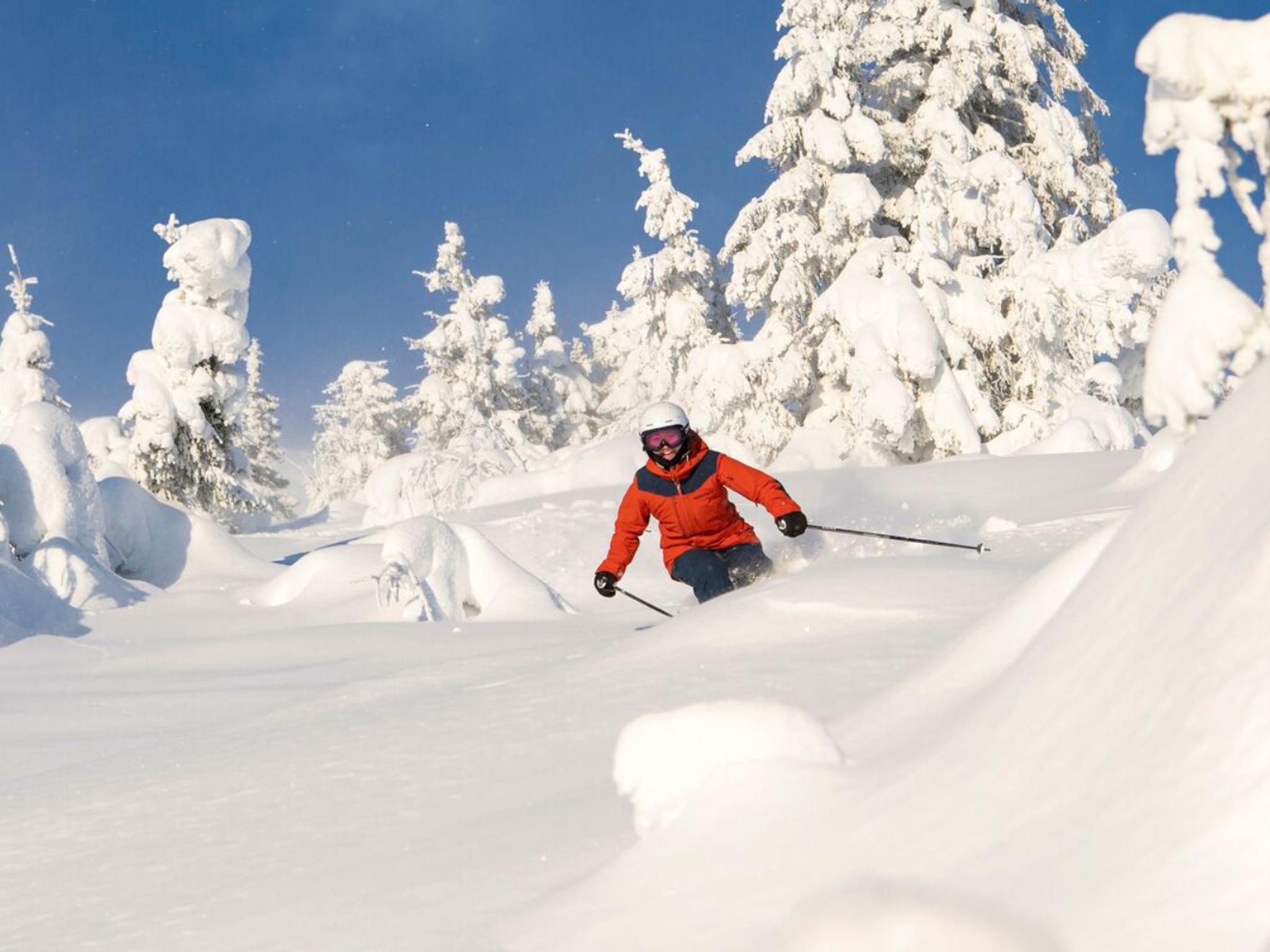 Skiing in powder snow in Trysil