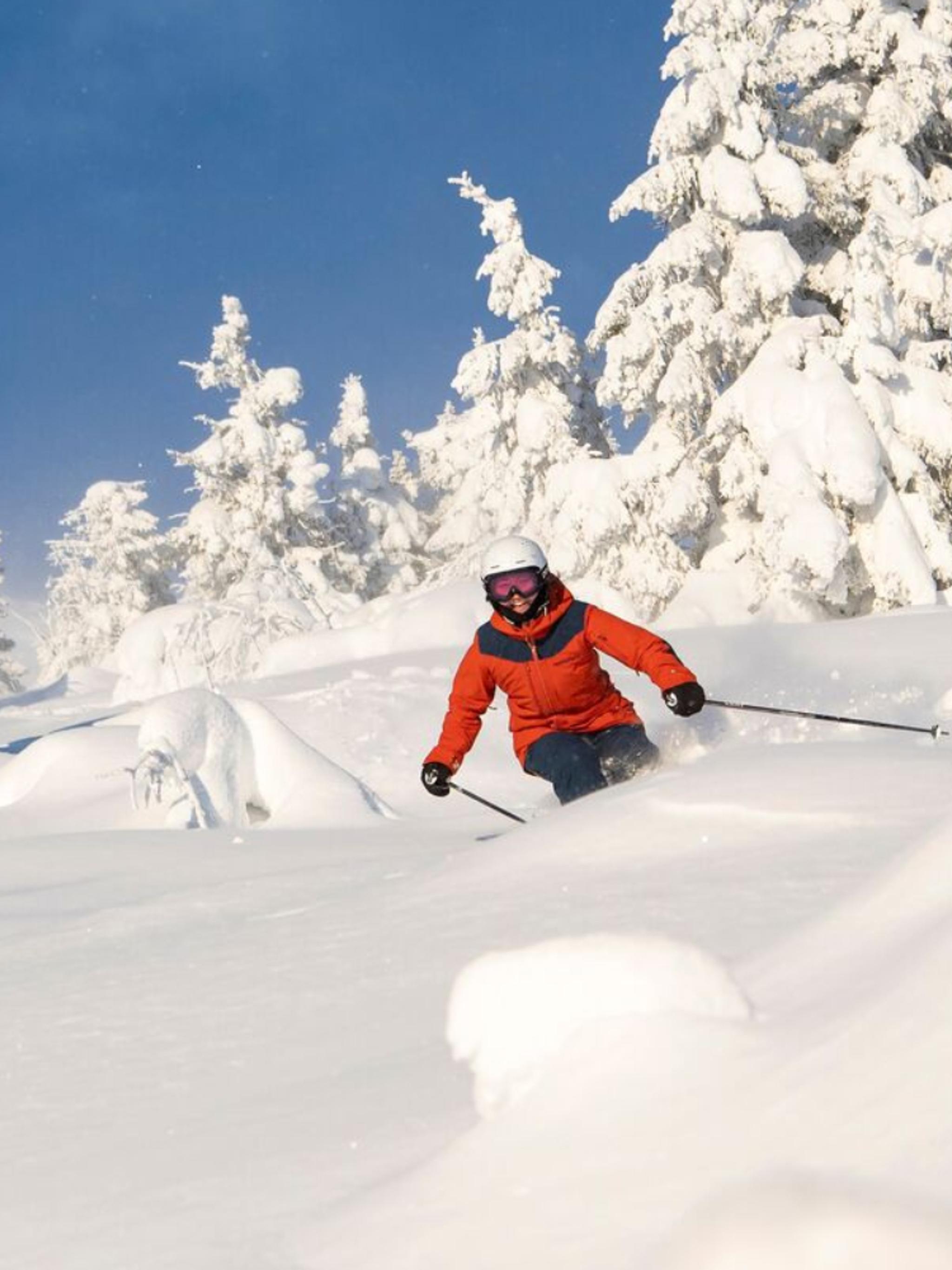Skiing in powder snow in Trysil