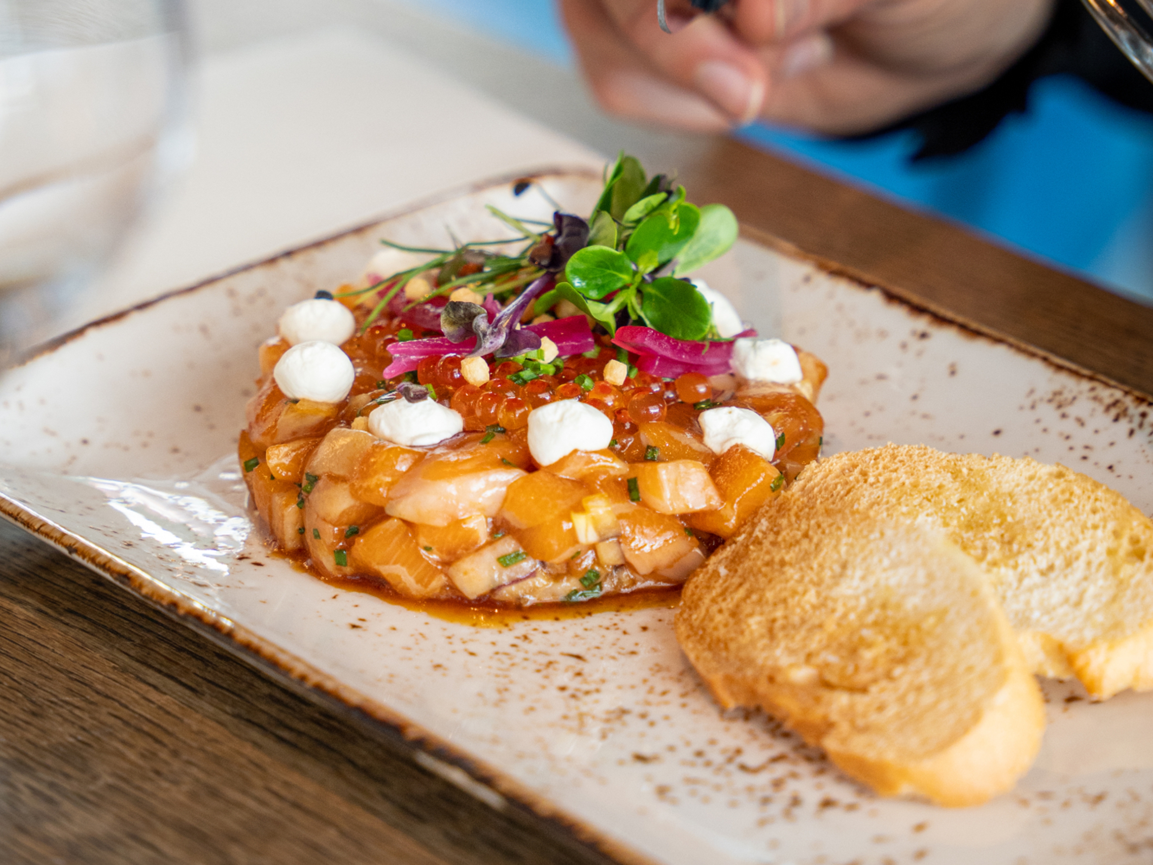 Plate of salmon tartar at The Salmon, Tjuvholmen in Oslo