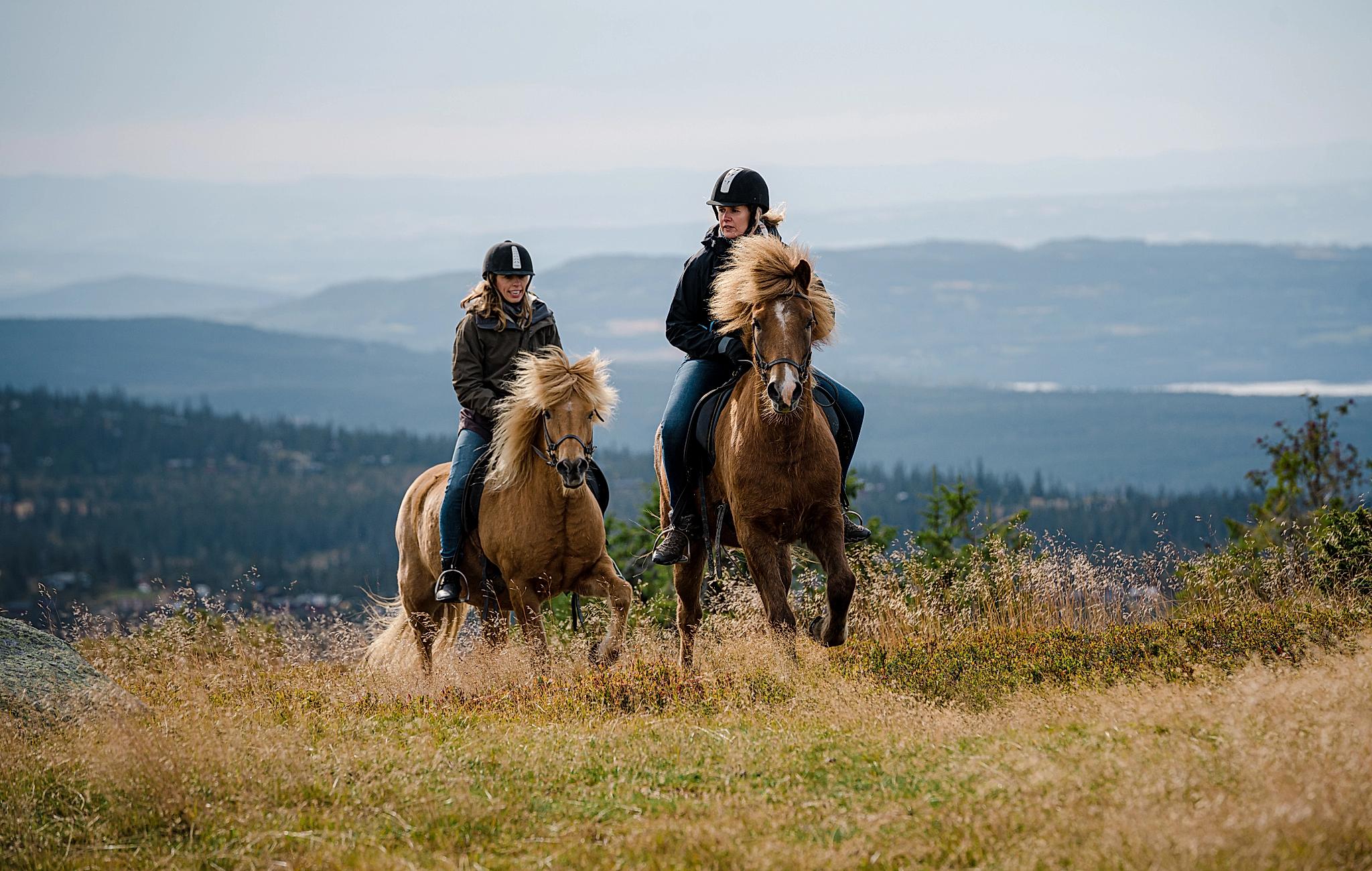Two women are having fun horseback riding in the Oslo region, Eastern Norway