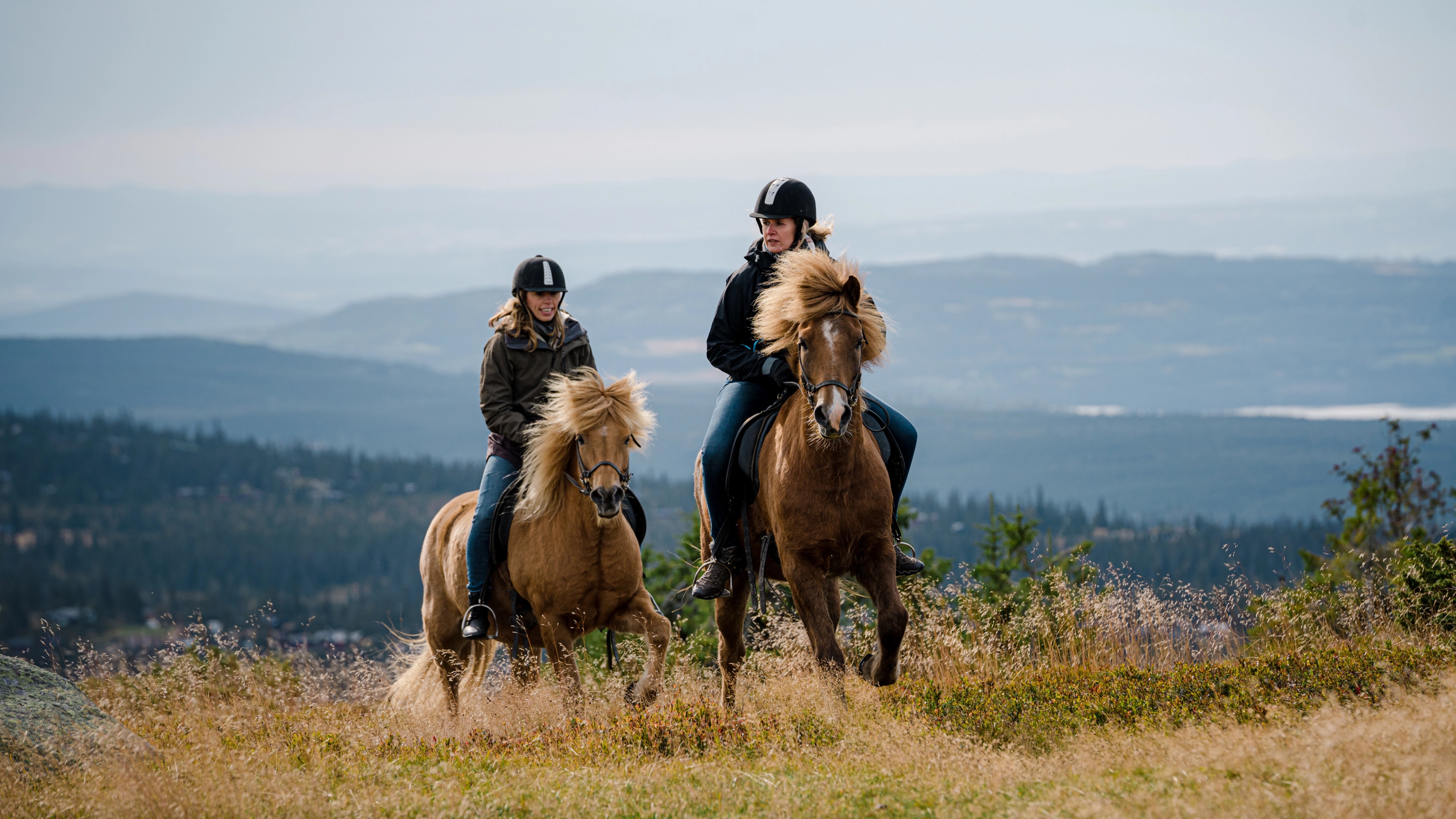 Two women are having fun horseback riding in the Oslo region, Eastern Norway