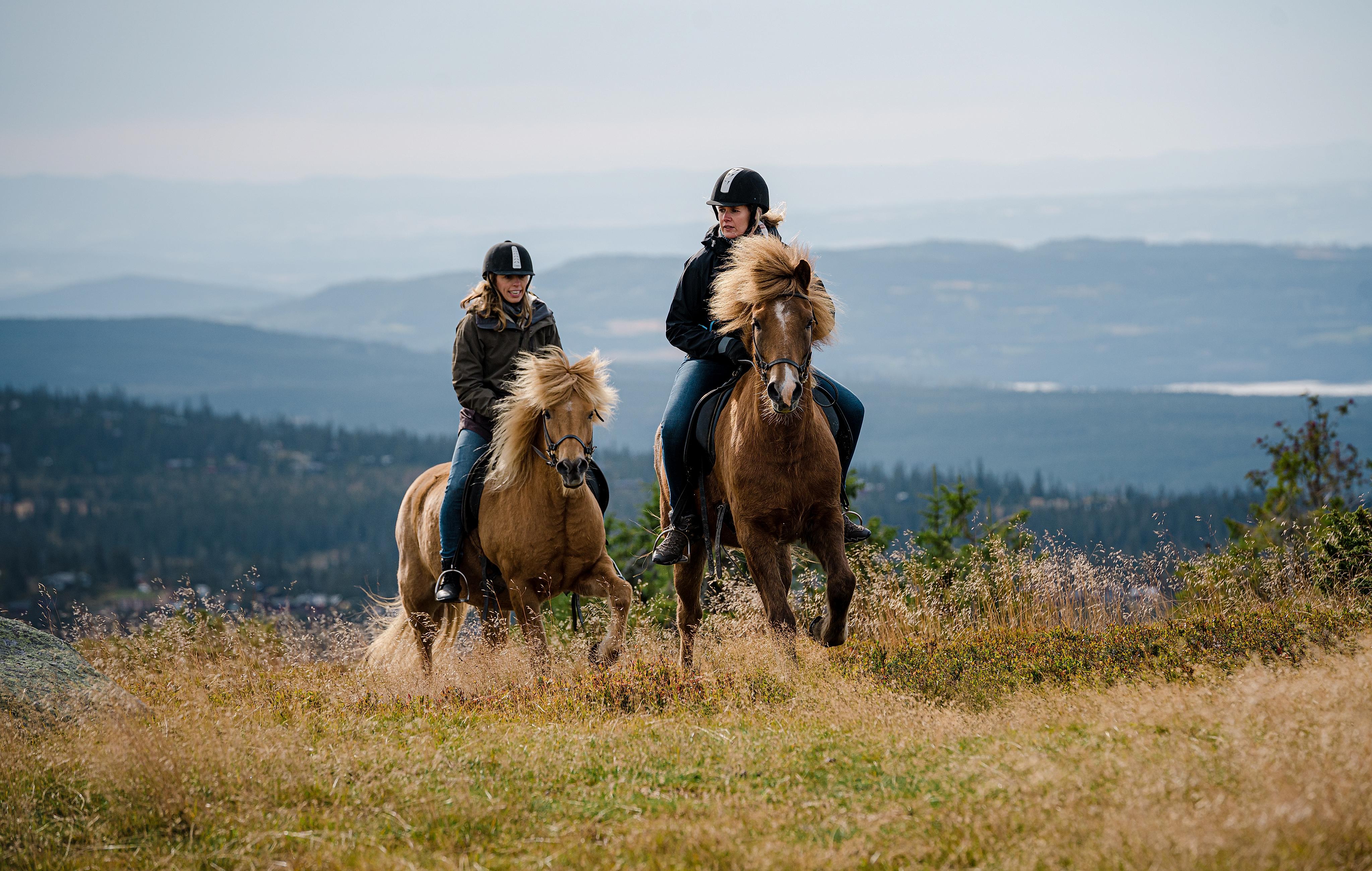 To kvinder rider på heste i Oslo-regionen, Norge