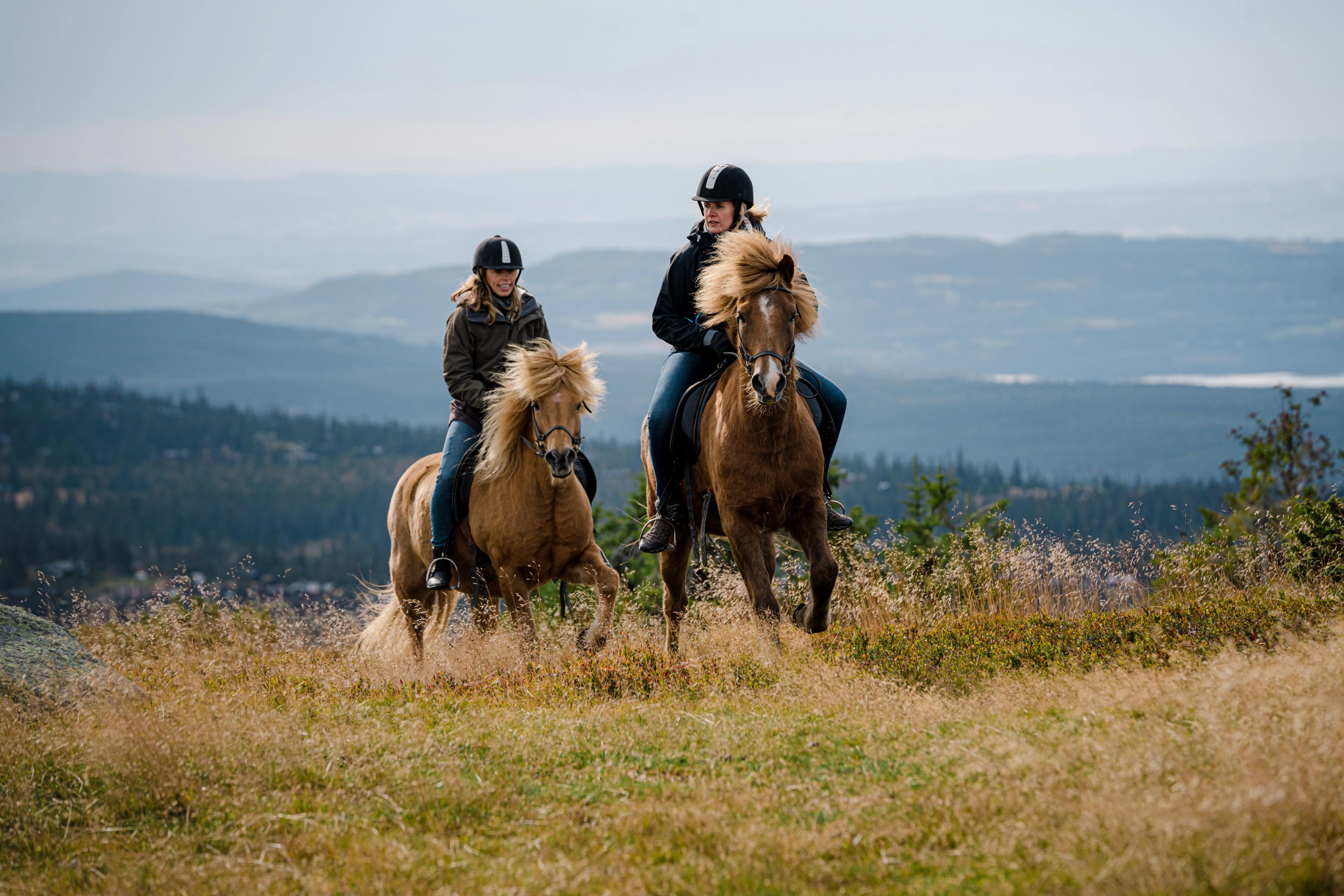 Two women are having fun horseback riding in the Oslo region, Eastern Norway