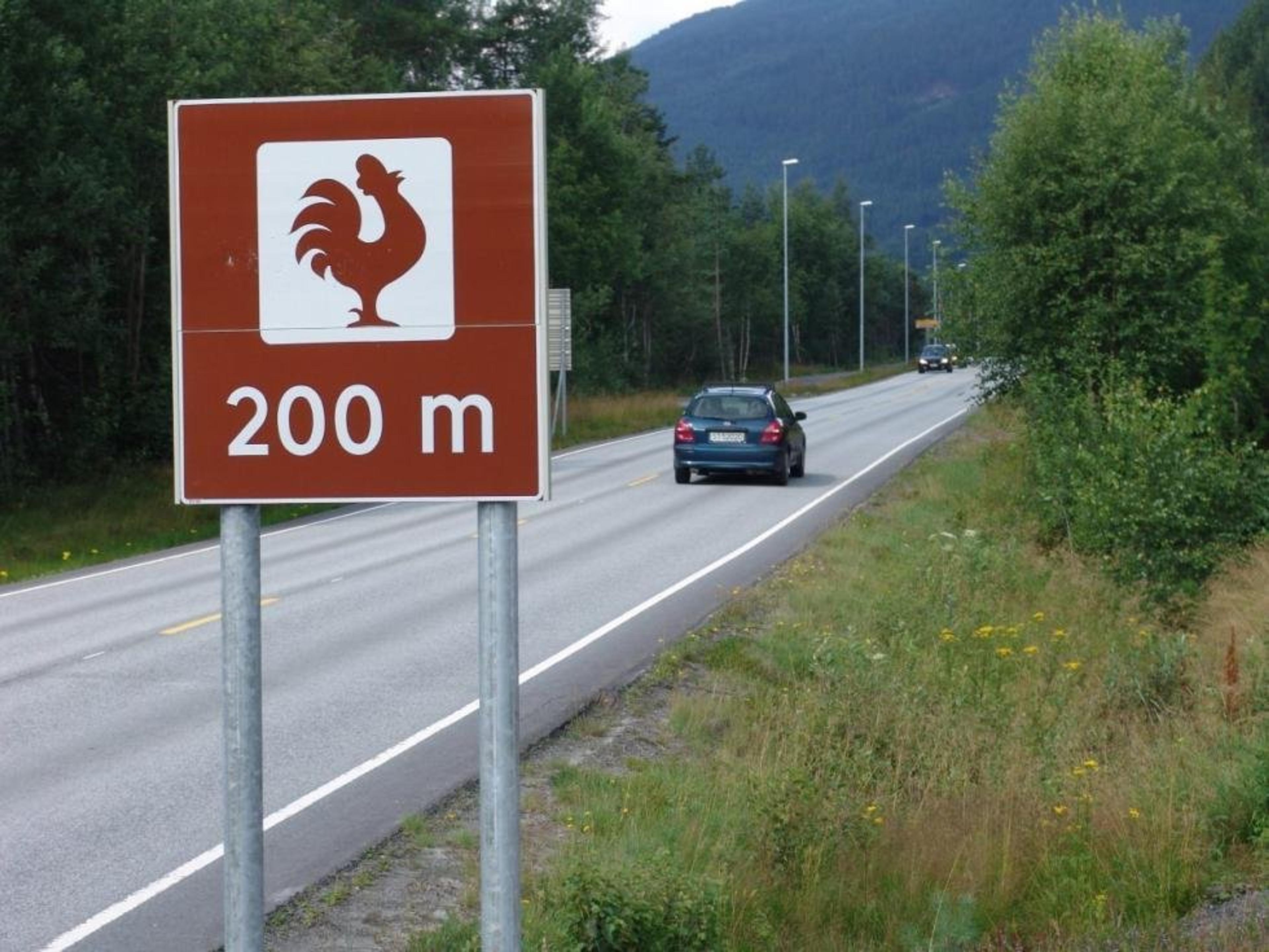 A chicken sign called "Hanen".