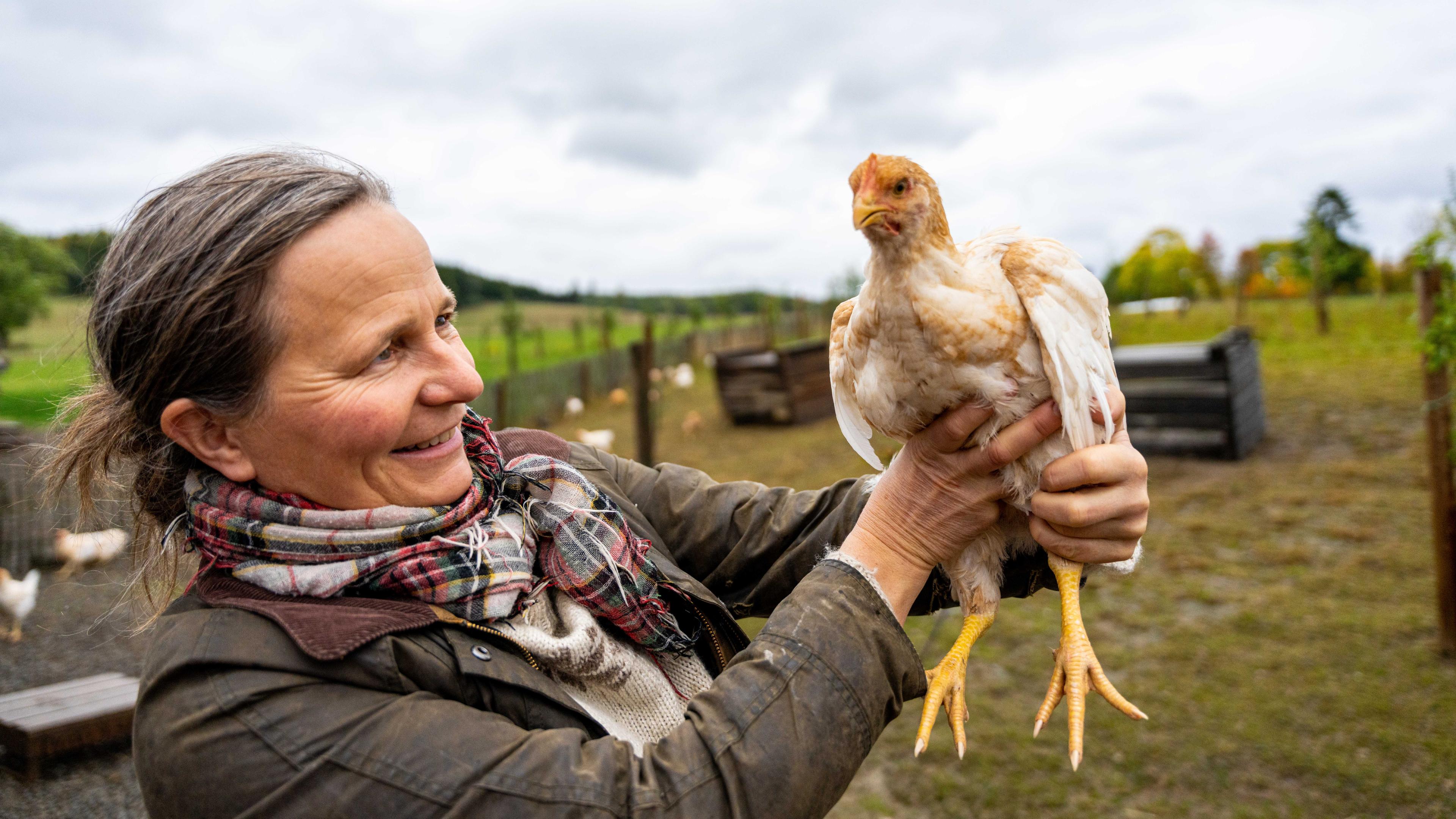 A farmer and a chicken at Hovelsrud farm in the Hamar region, Eastern Norway