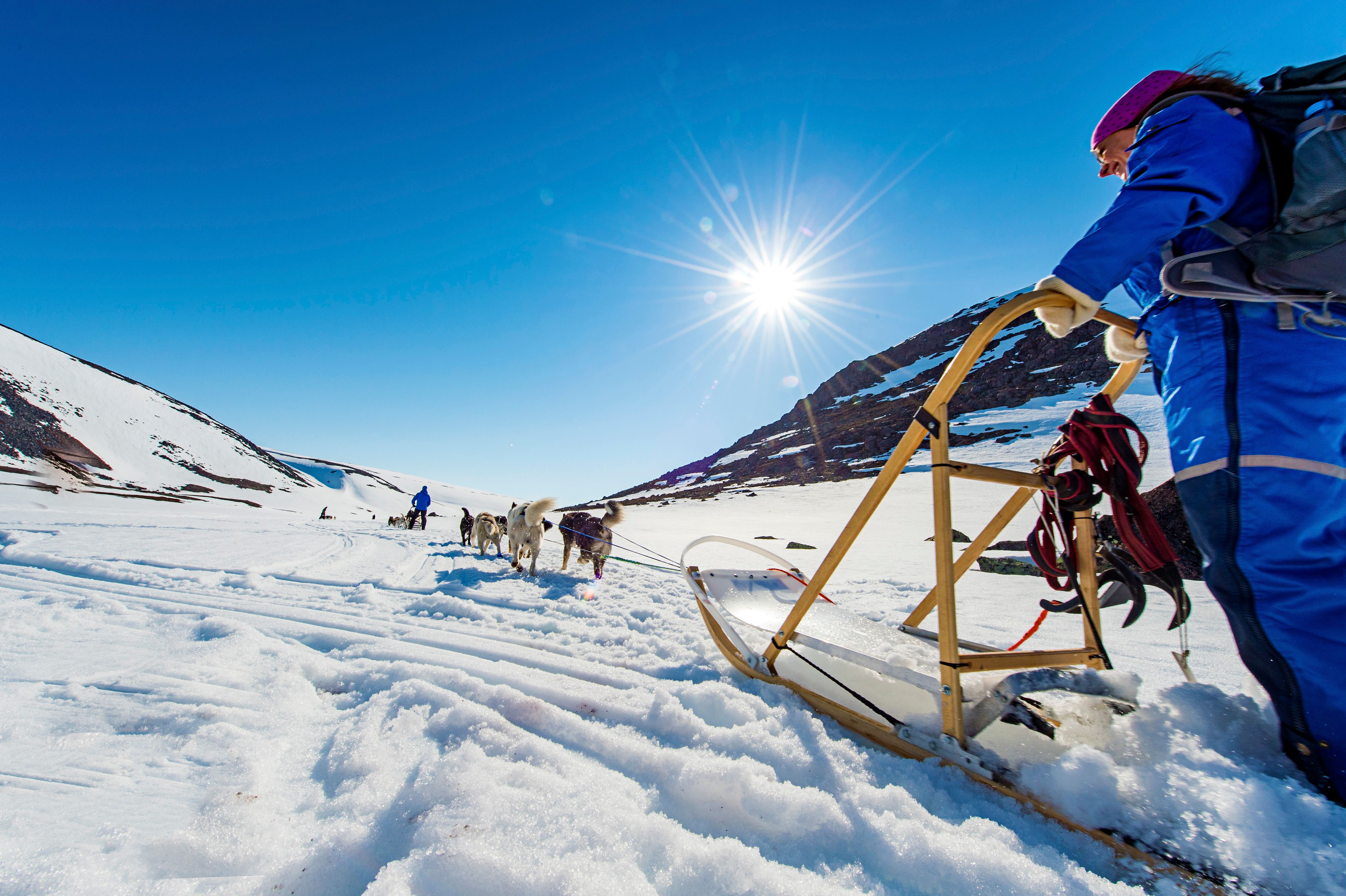 Man dog sledding in Kongsfjord