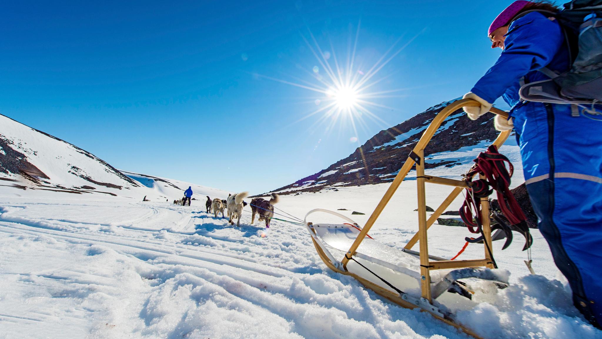 Man dog sledding in Kongsfjord