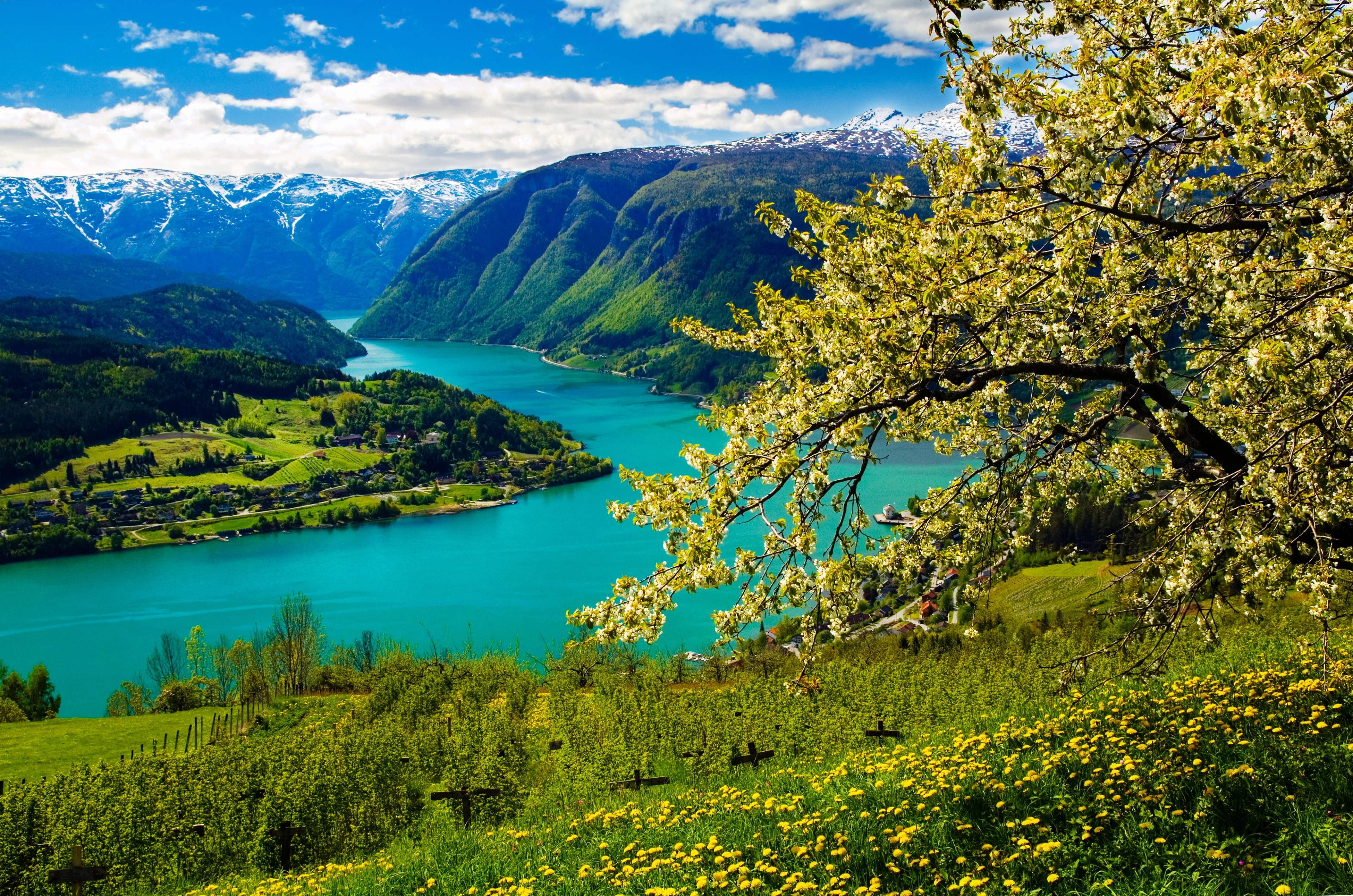 View of Hardanger in spring time