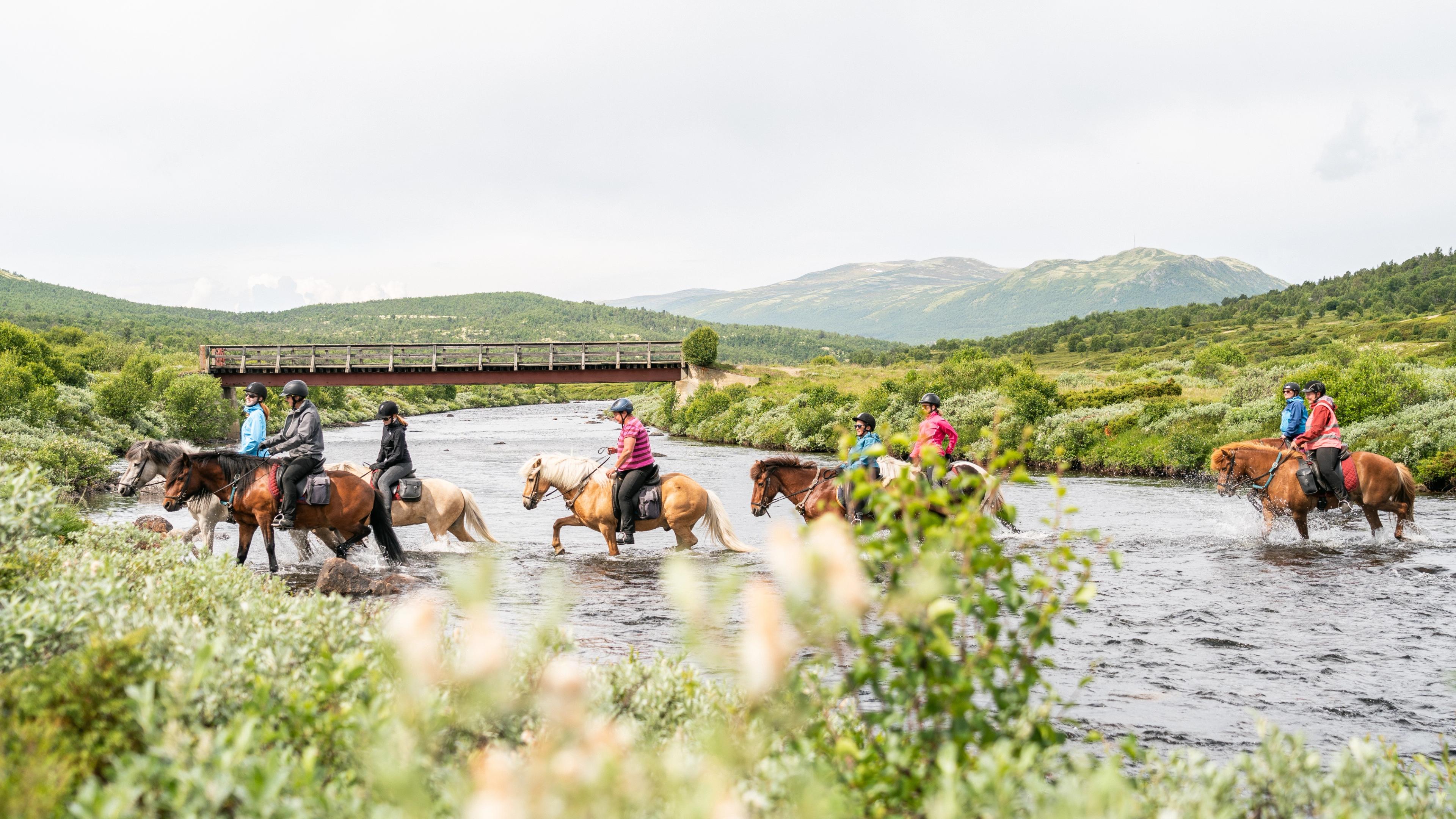 A group of people crossing a river on horseback in Dovre, Eastern Norway.