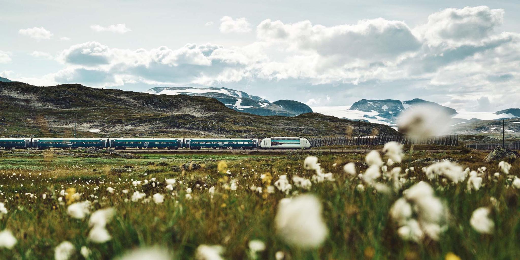 The Bergen Railway train
