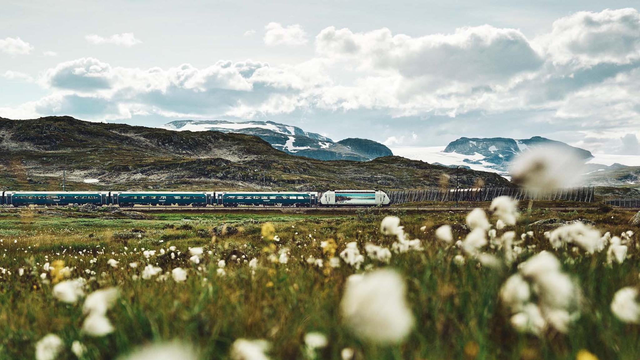 The Bergen Railway train