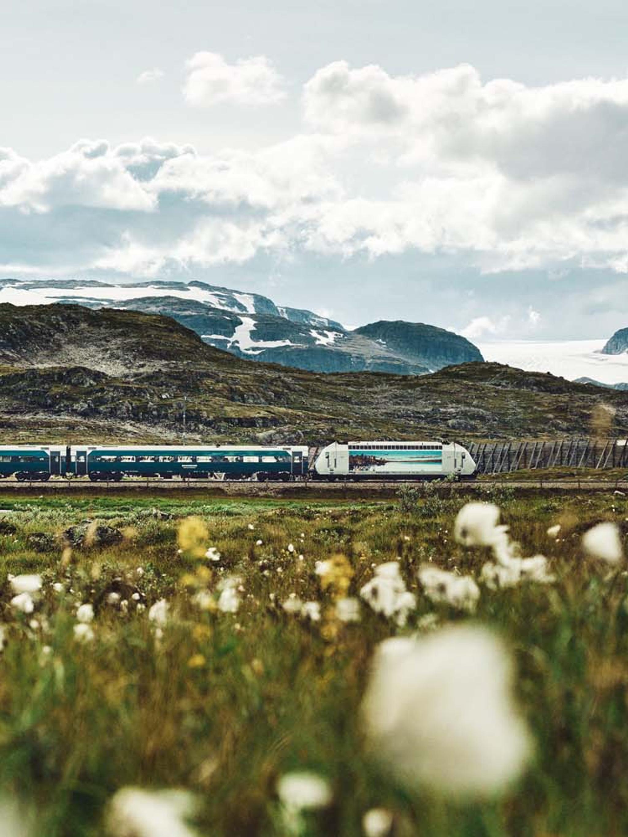 The Bergen Railway train
