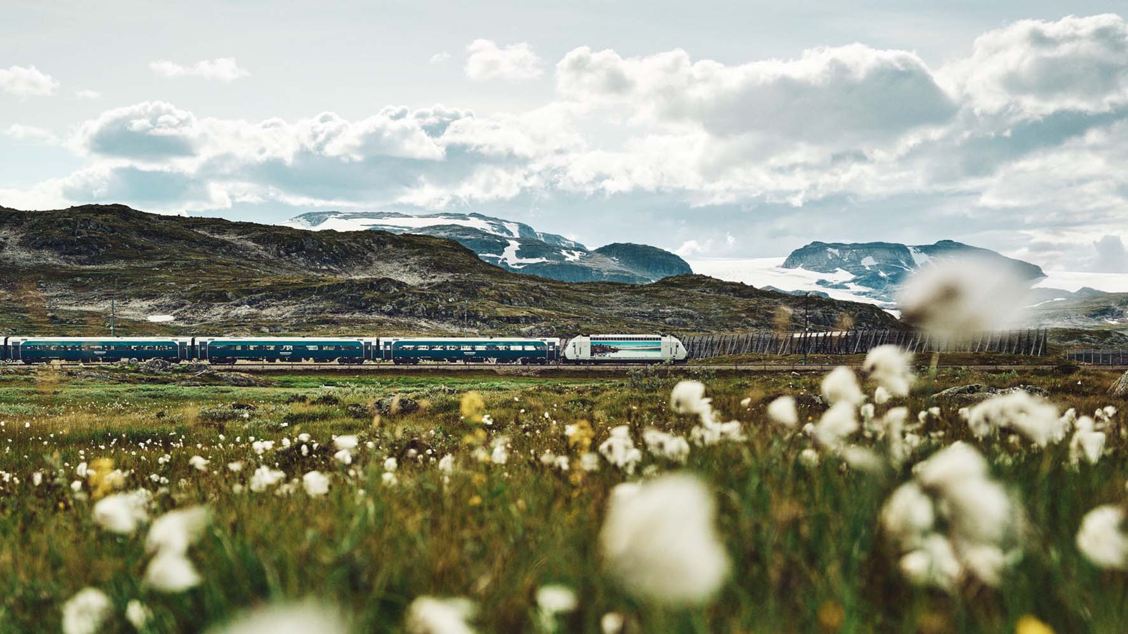 The Bergen Railway train