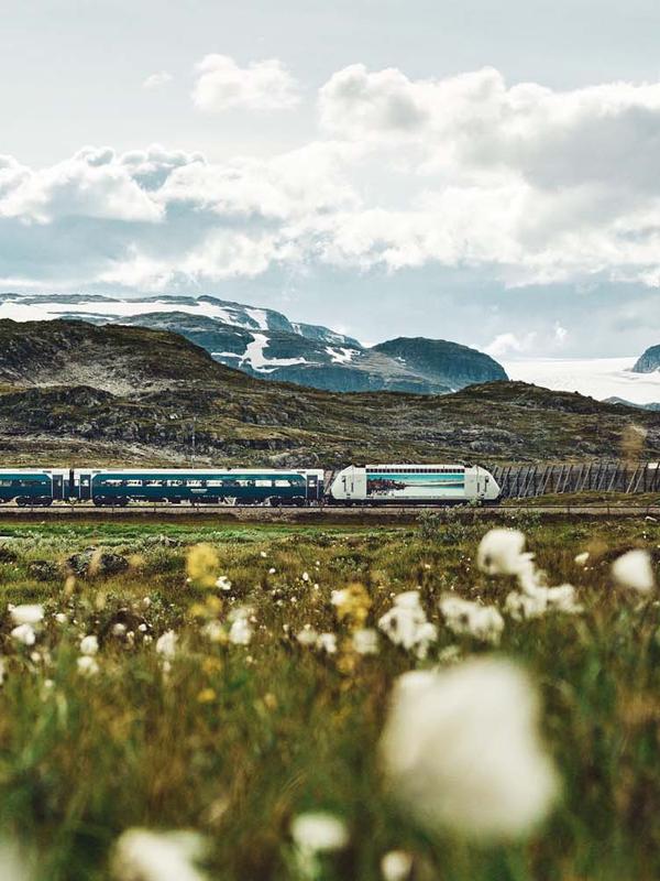 The Bergen Railway train