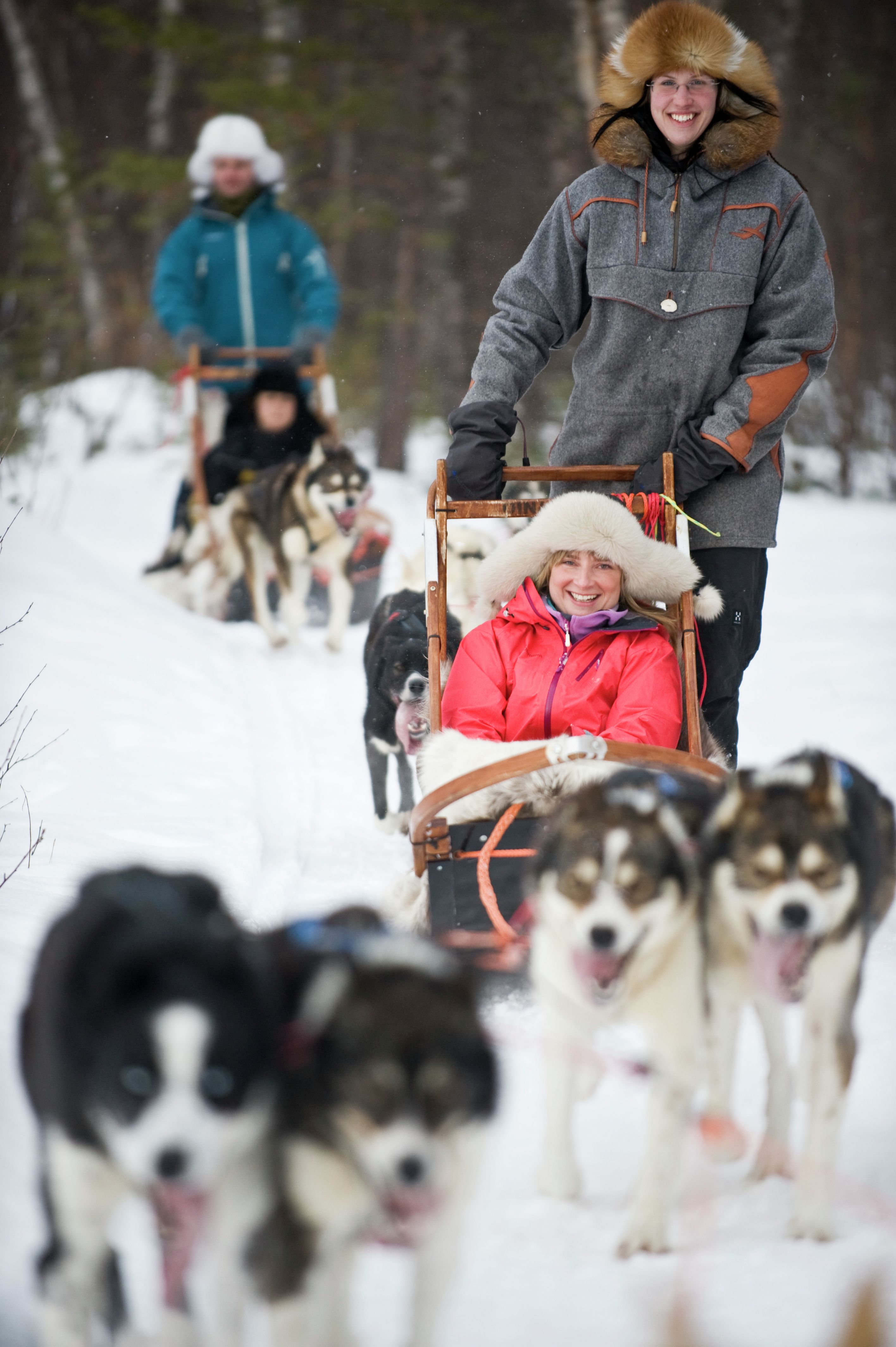 Dog sledding, Finnmark