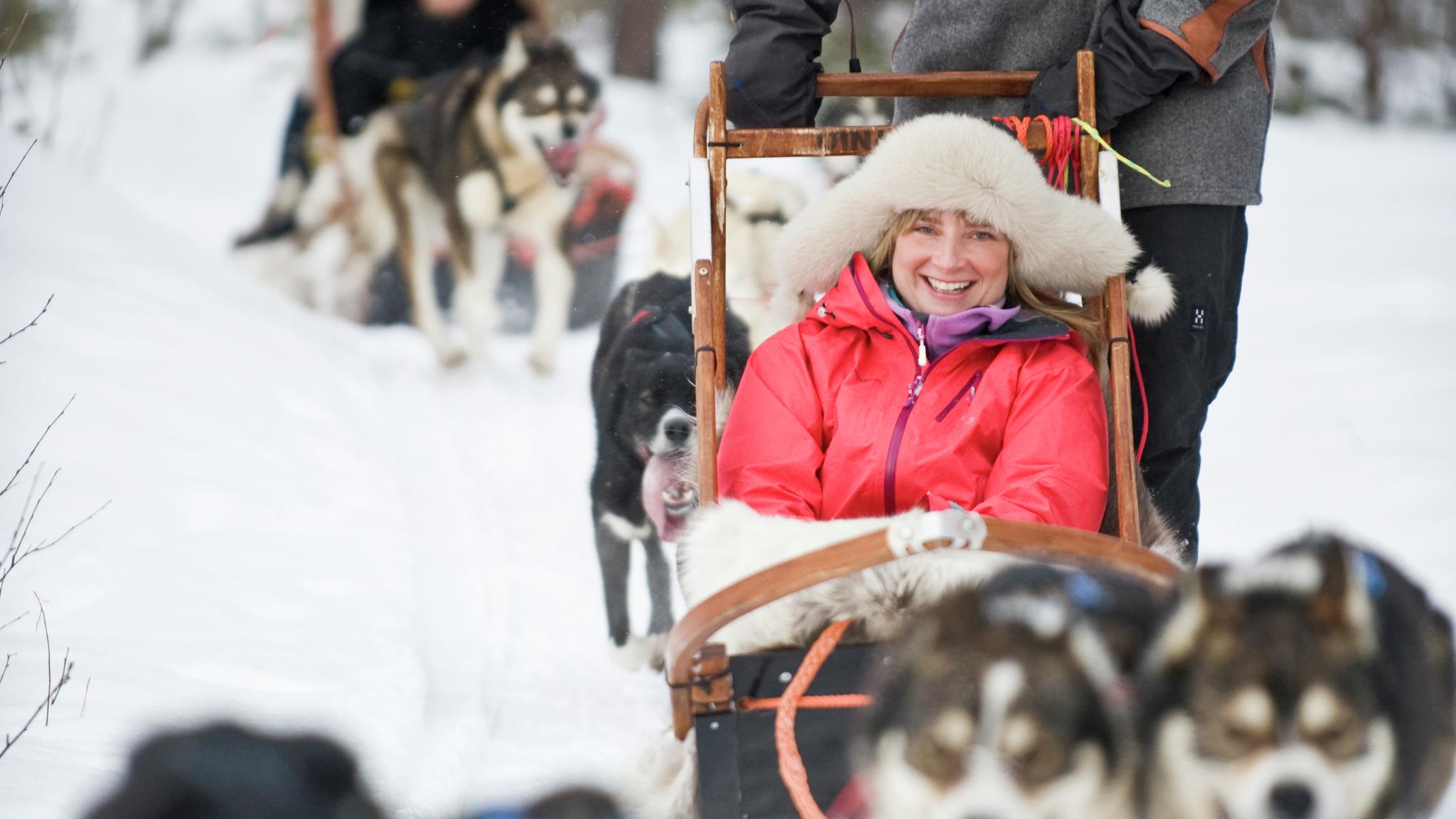 Dog sledding, Finnmark