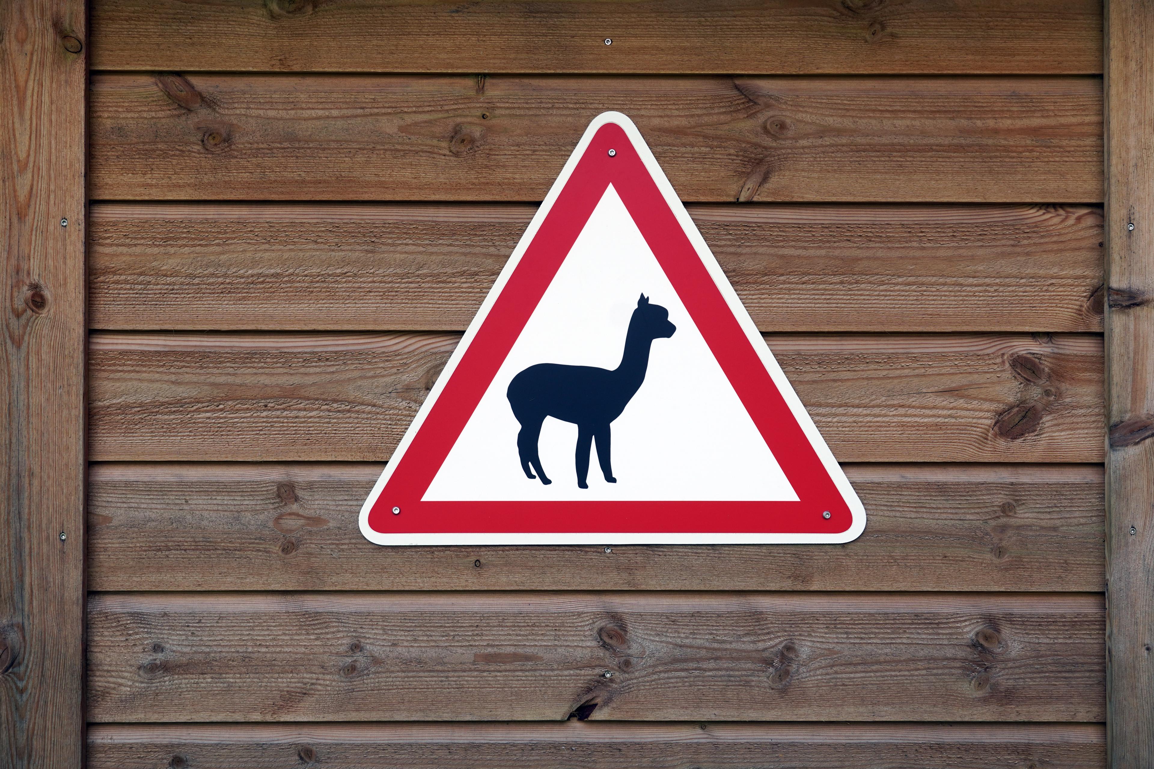 Alpacas road sign at Sørum, Eastern Norway.