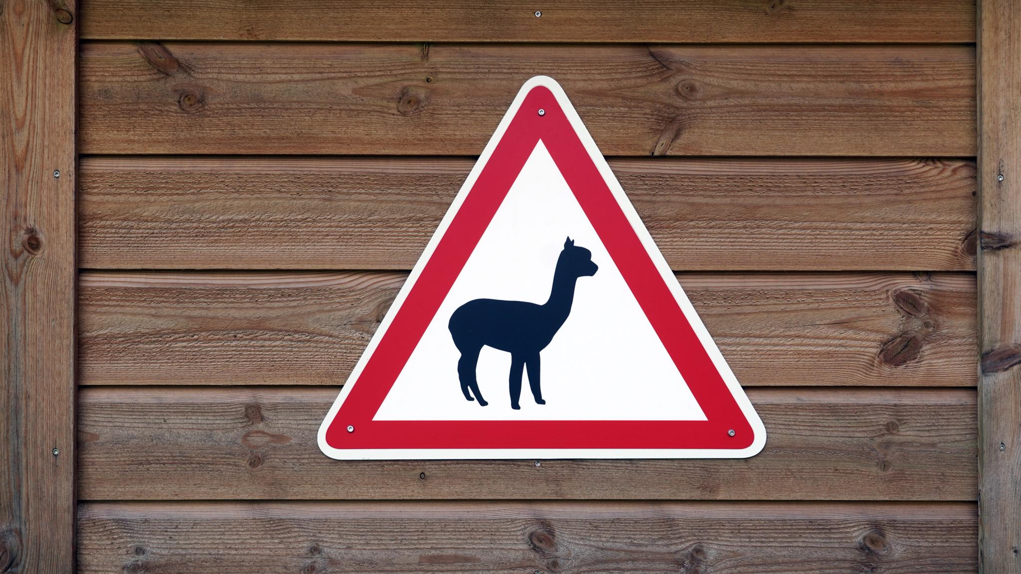Alpacas road sign at Sørum, Eastern Norway.