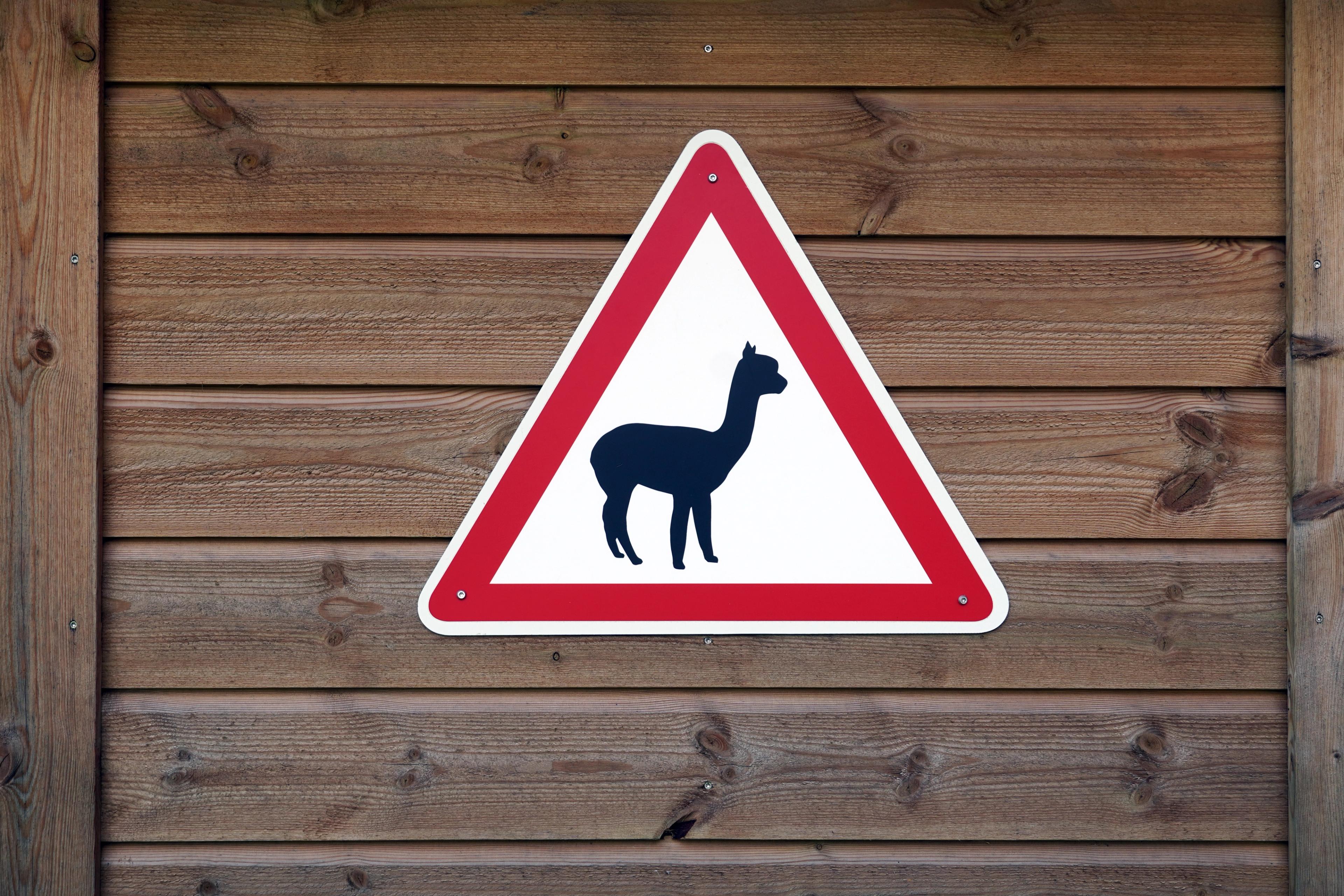 Alpacas road sign at Sørum, Eastern Norway.