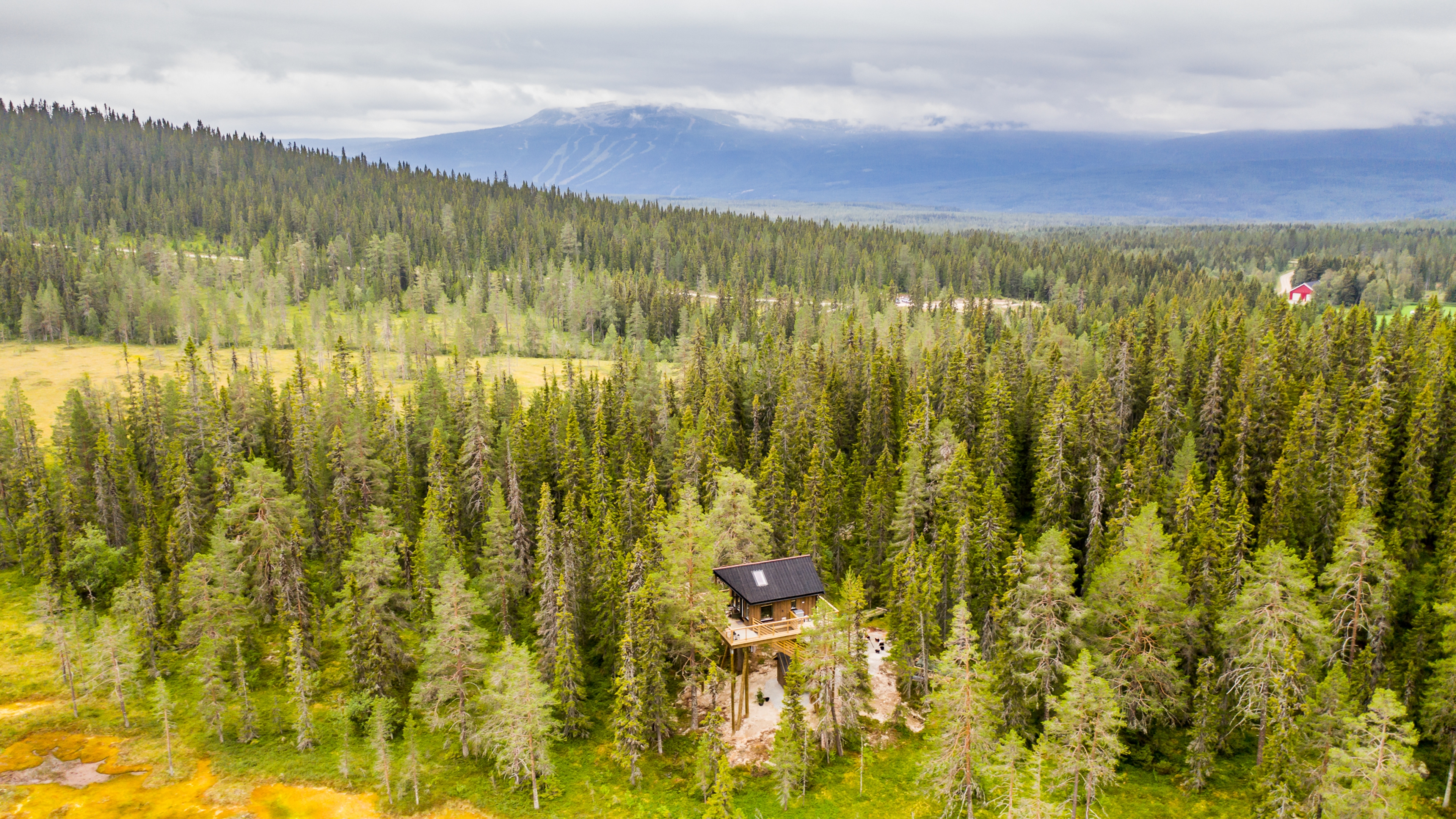 A tree house surrounded by trees.
