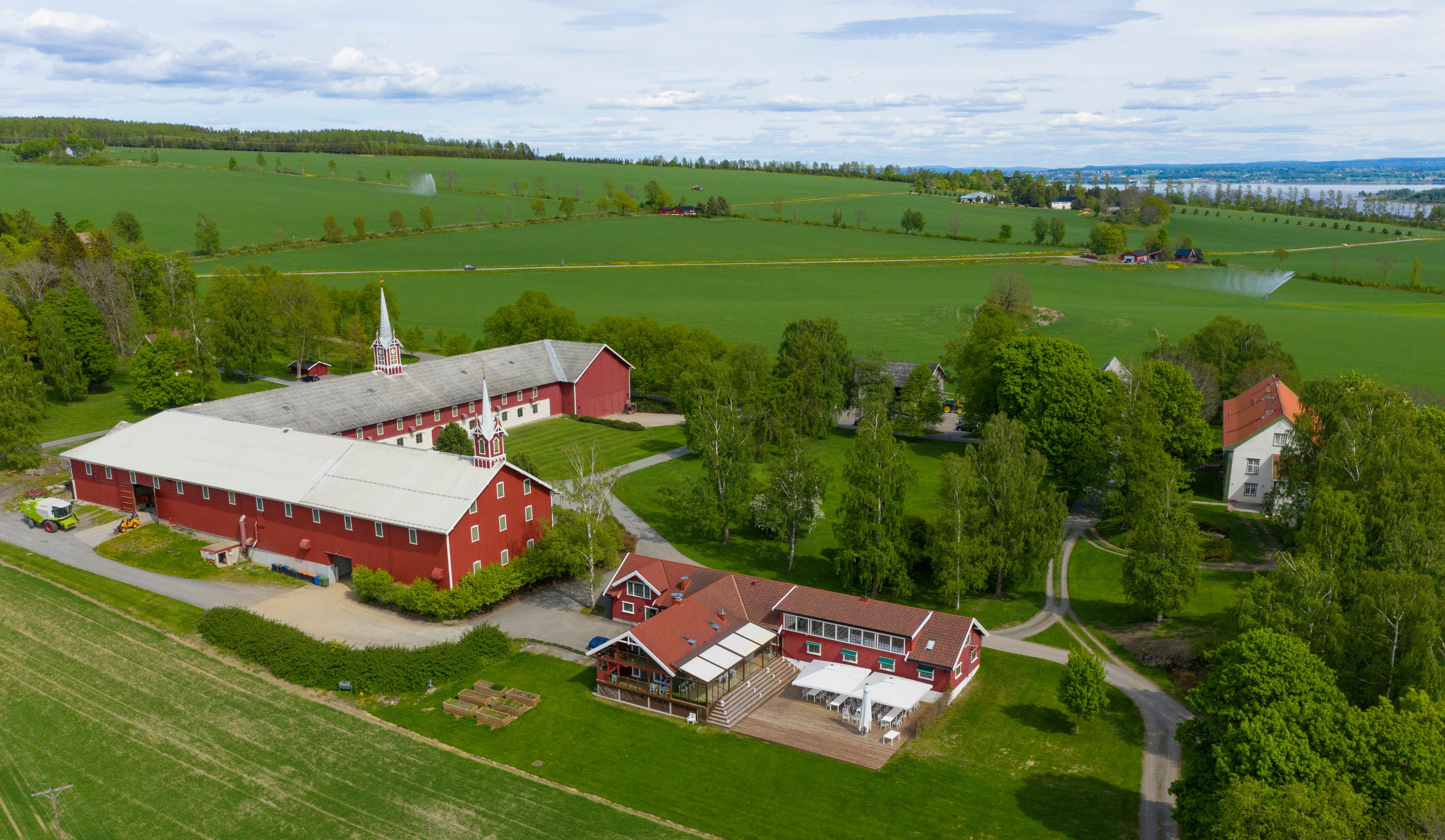 Overview of the Hoel farm at Nes, Eastern Norway.