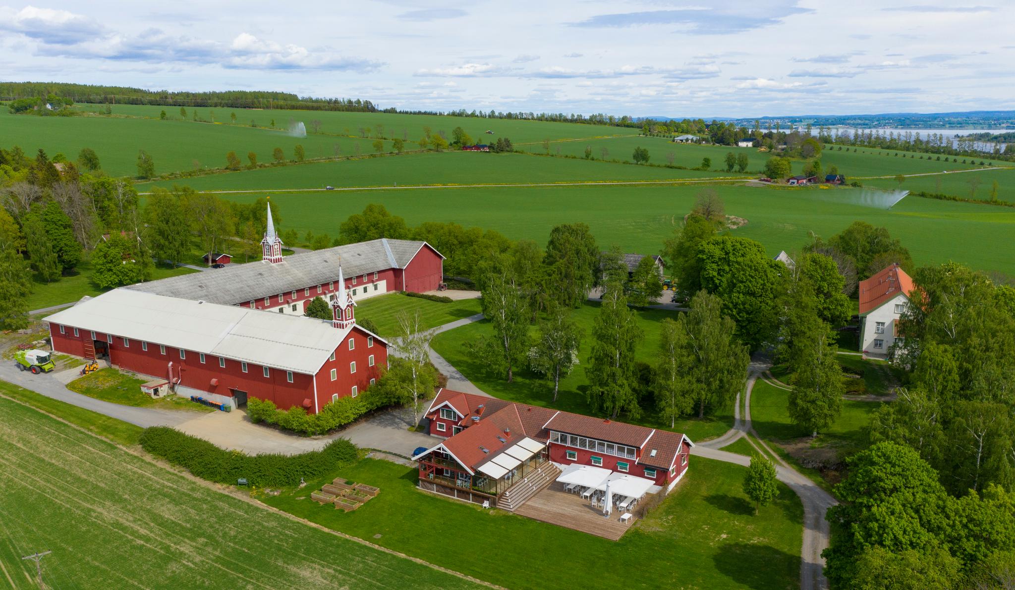 Overview of the Hoel farm at Nes, Eastern Norway.