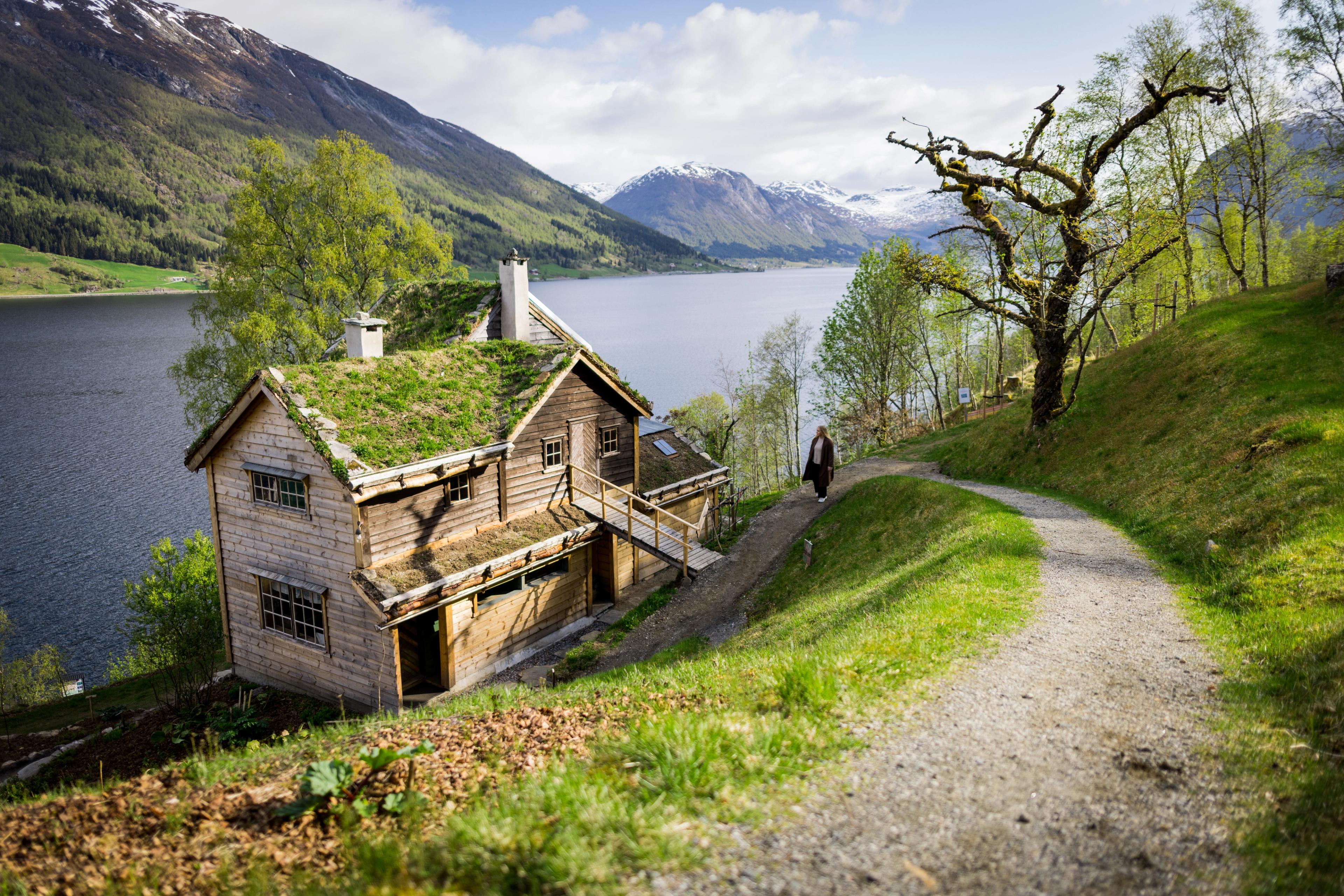 A woman walking towards an old cabin next to a lake.