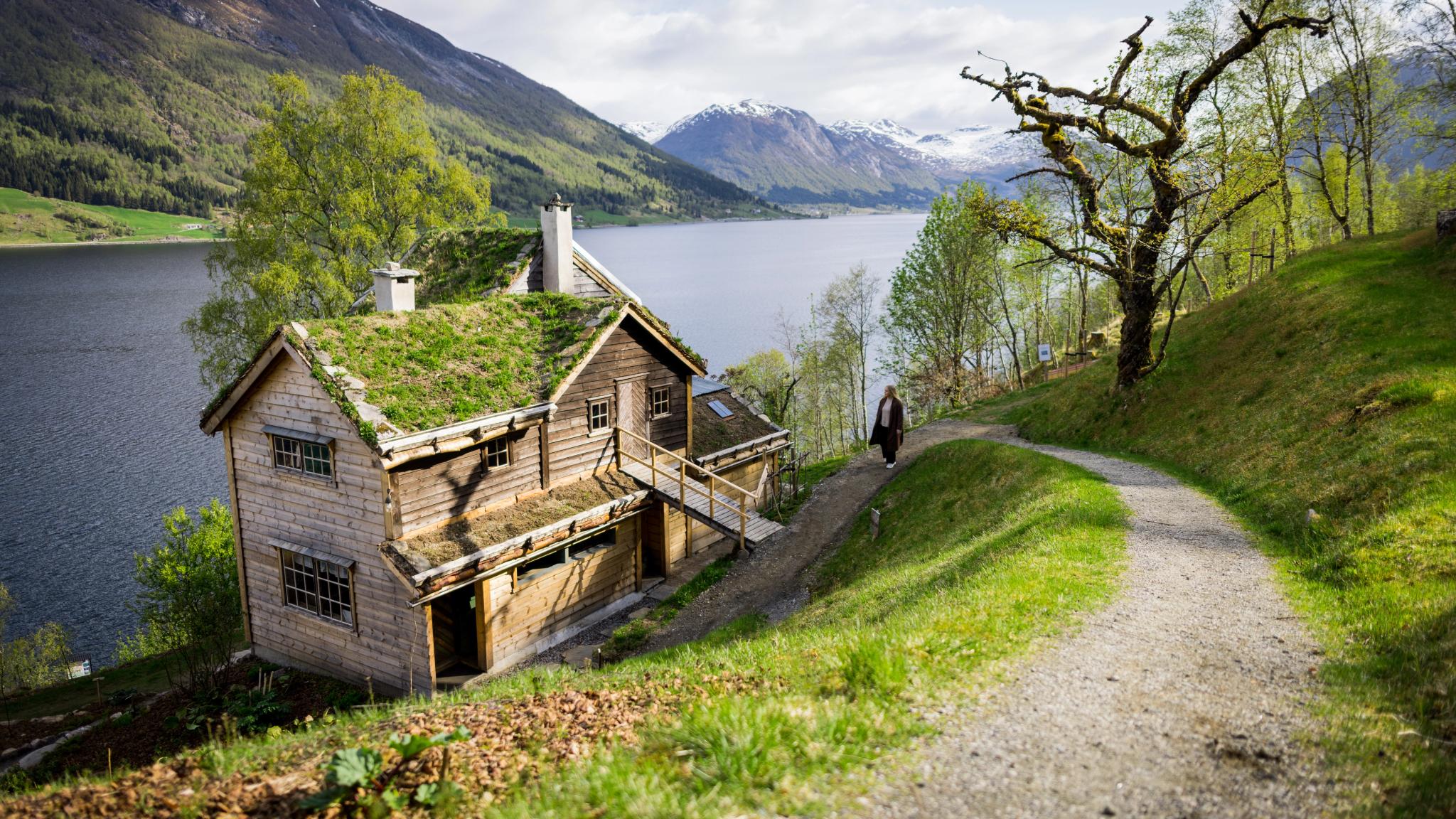 A woman walking towards an old cabin next to a lake.