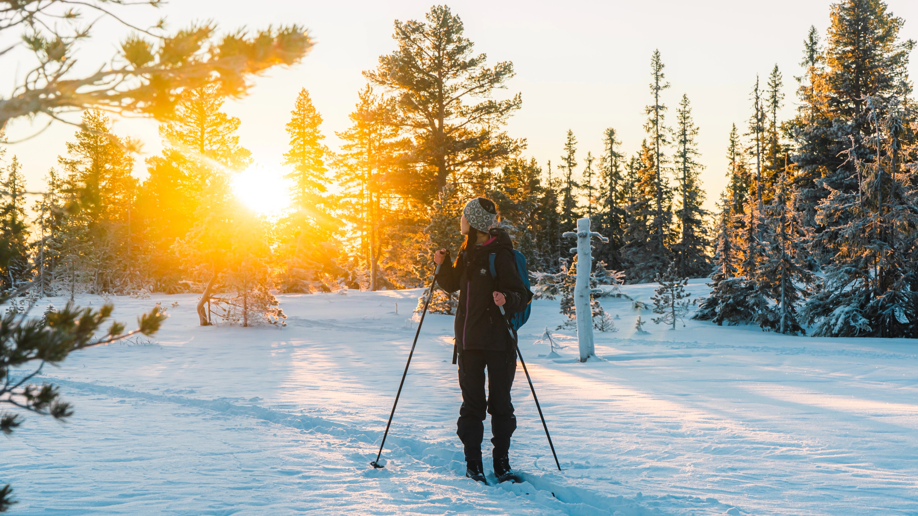 Women skiing in Bymarka, Trondheim