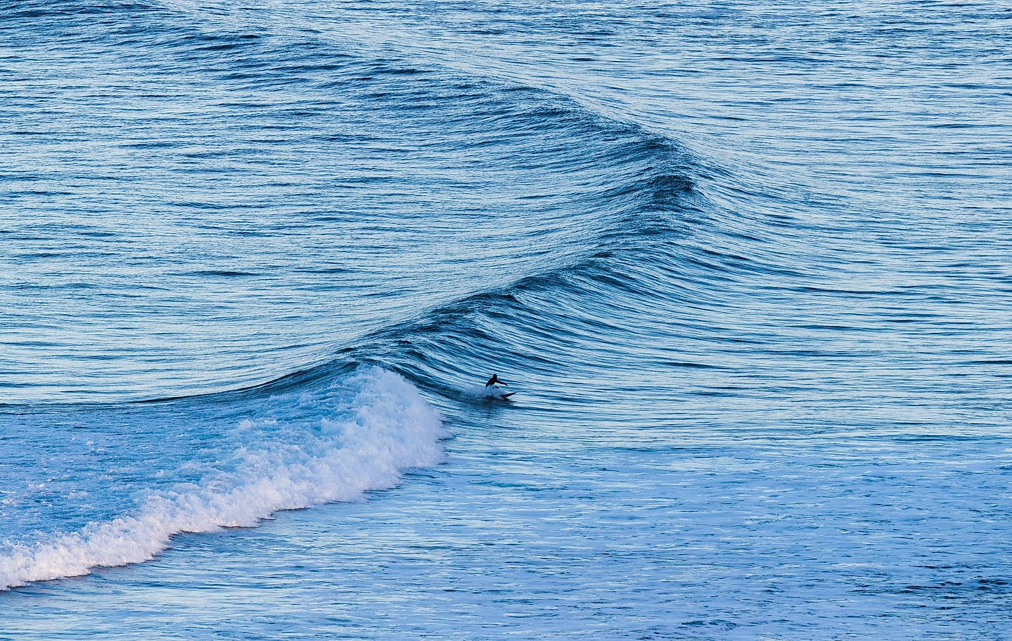 A surfer riding a wave on Lofoten islands in Northern Norway