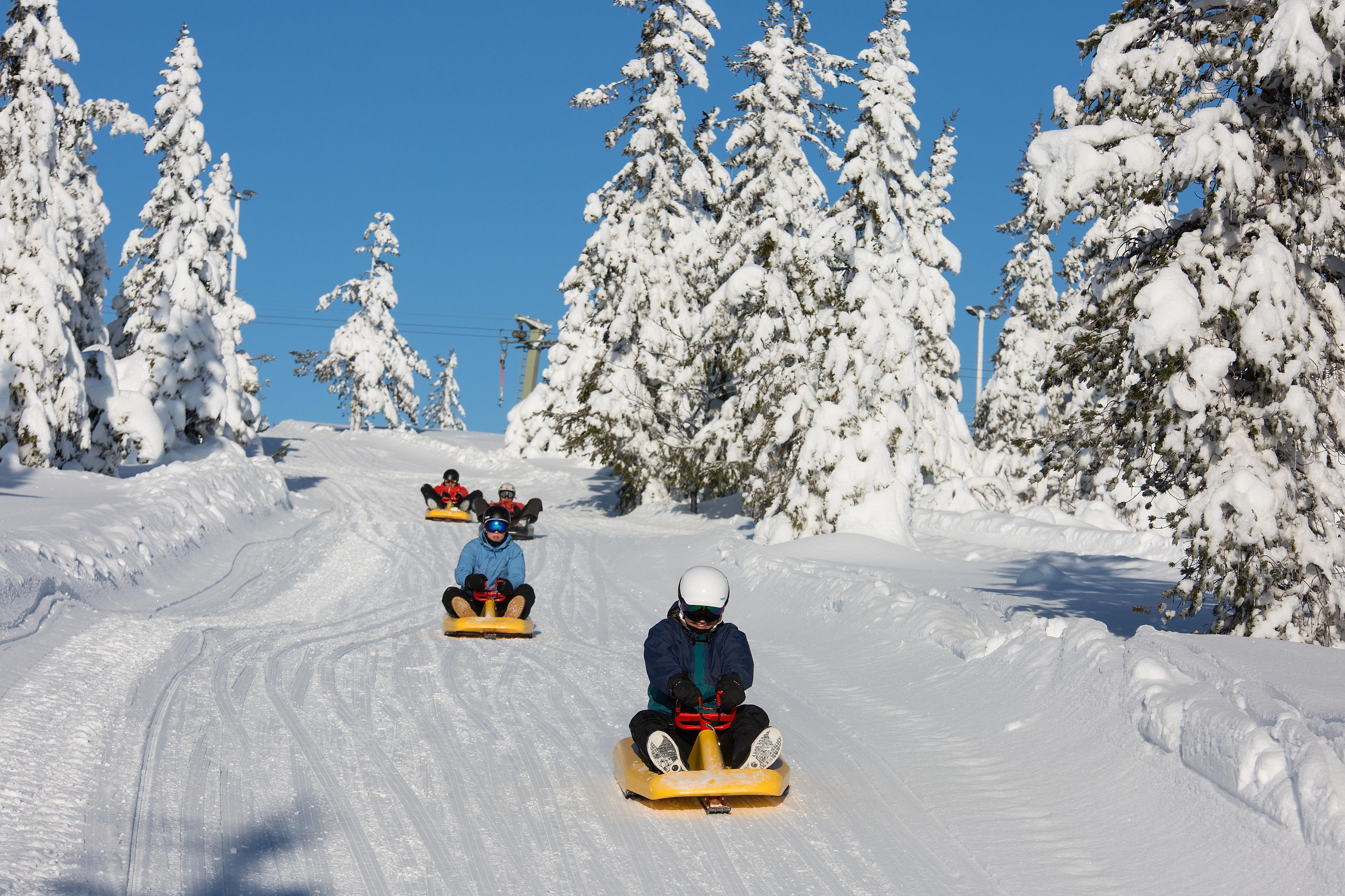 Sledding down the hill at Ski stadium in Steinkjer.