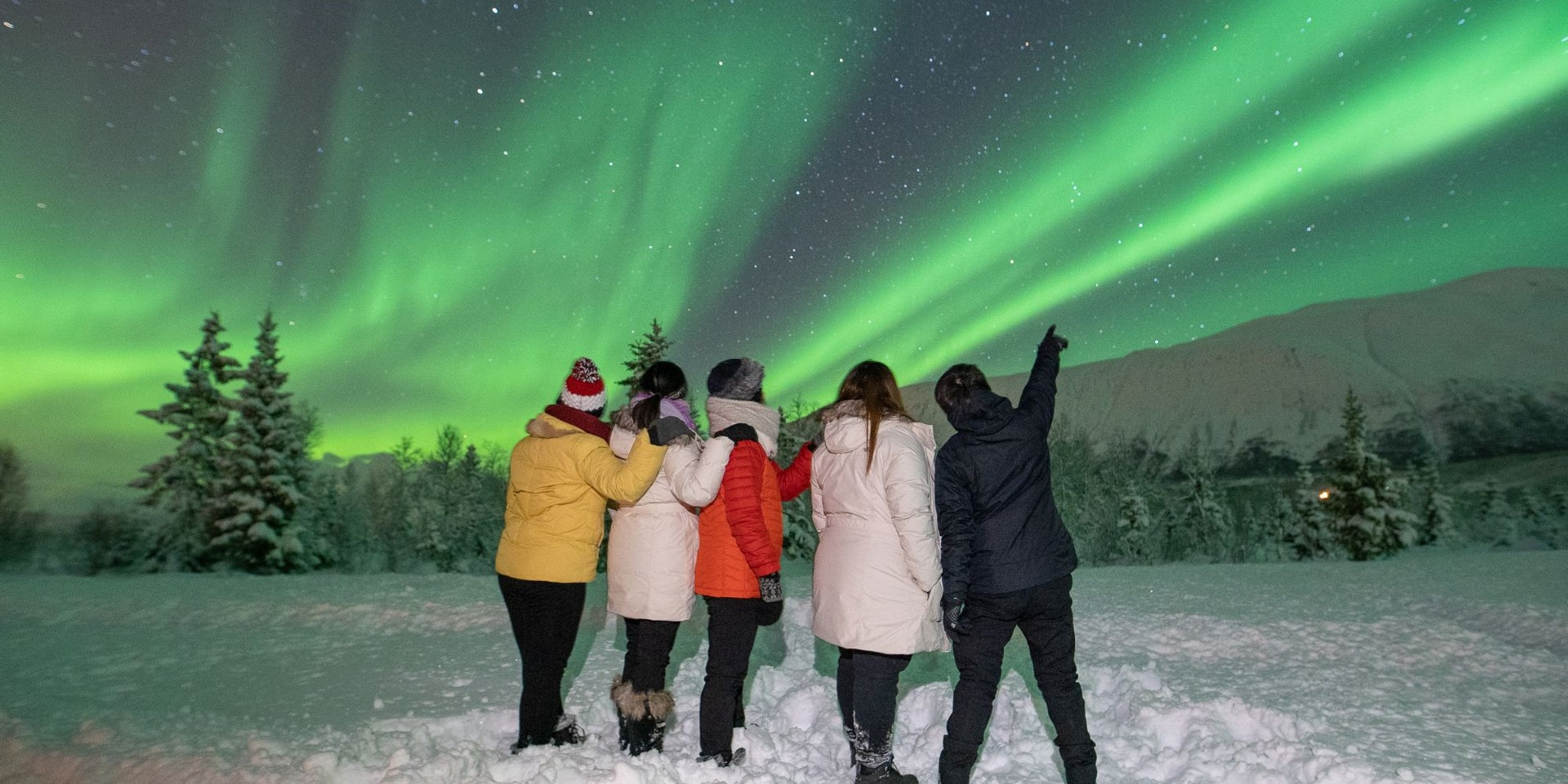 Aurora Safari Camp in Tromsø by Fjord Tours
